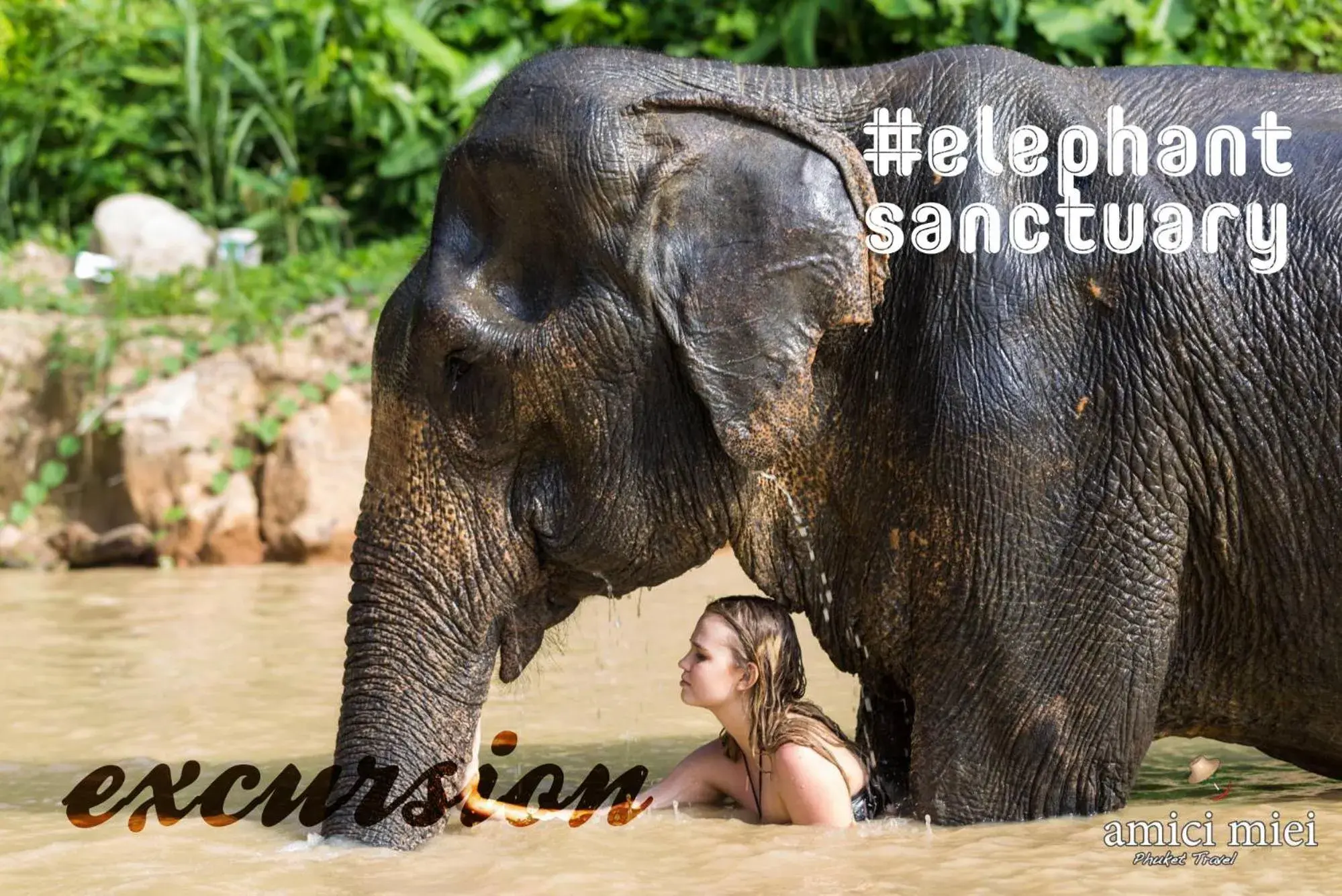 Nearby landmark, Other Animals in Phoenix Hotel Karon Beach