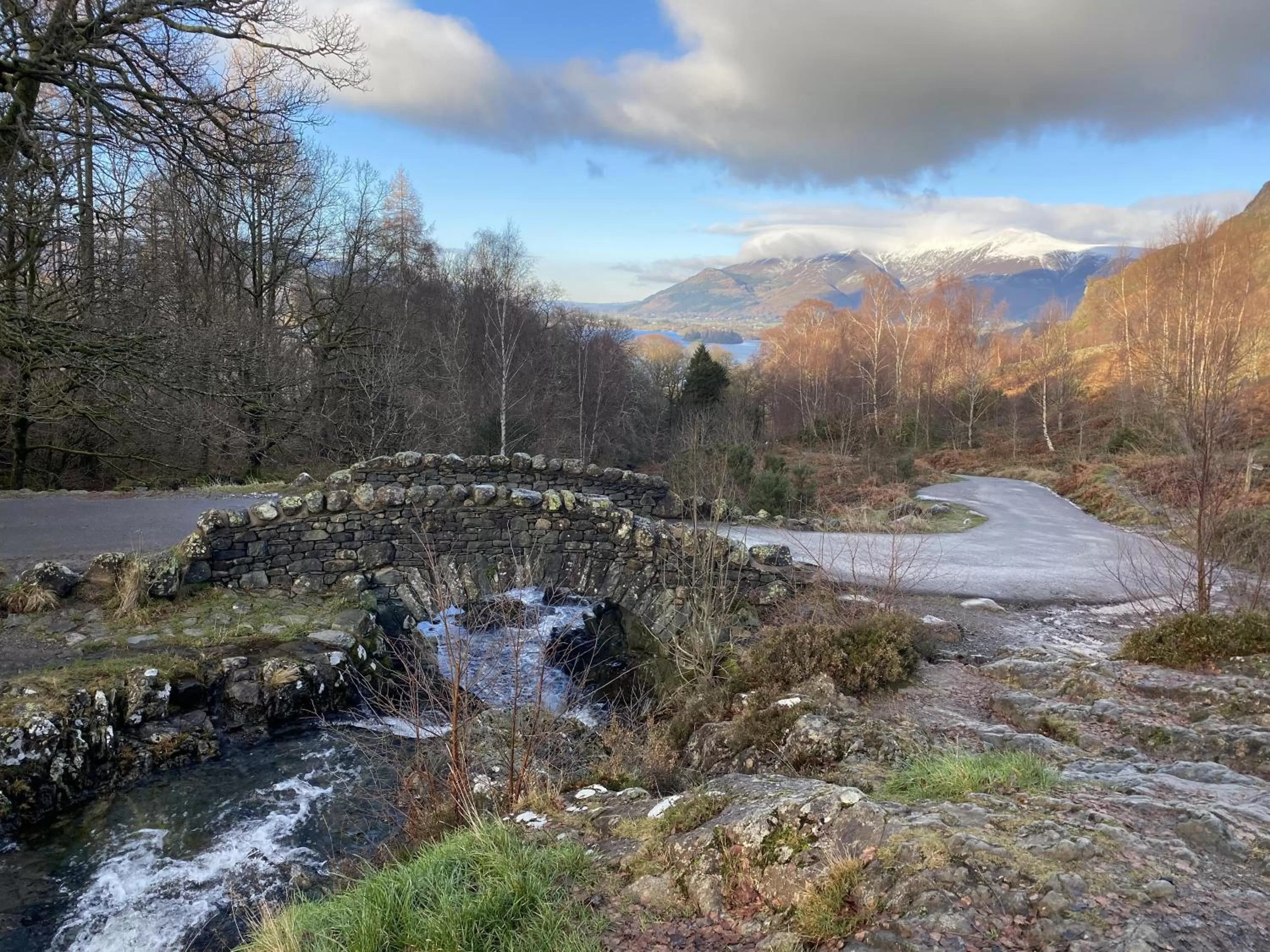 Neighbourhood in Crow Park Hotel