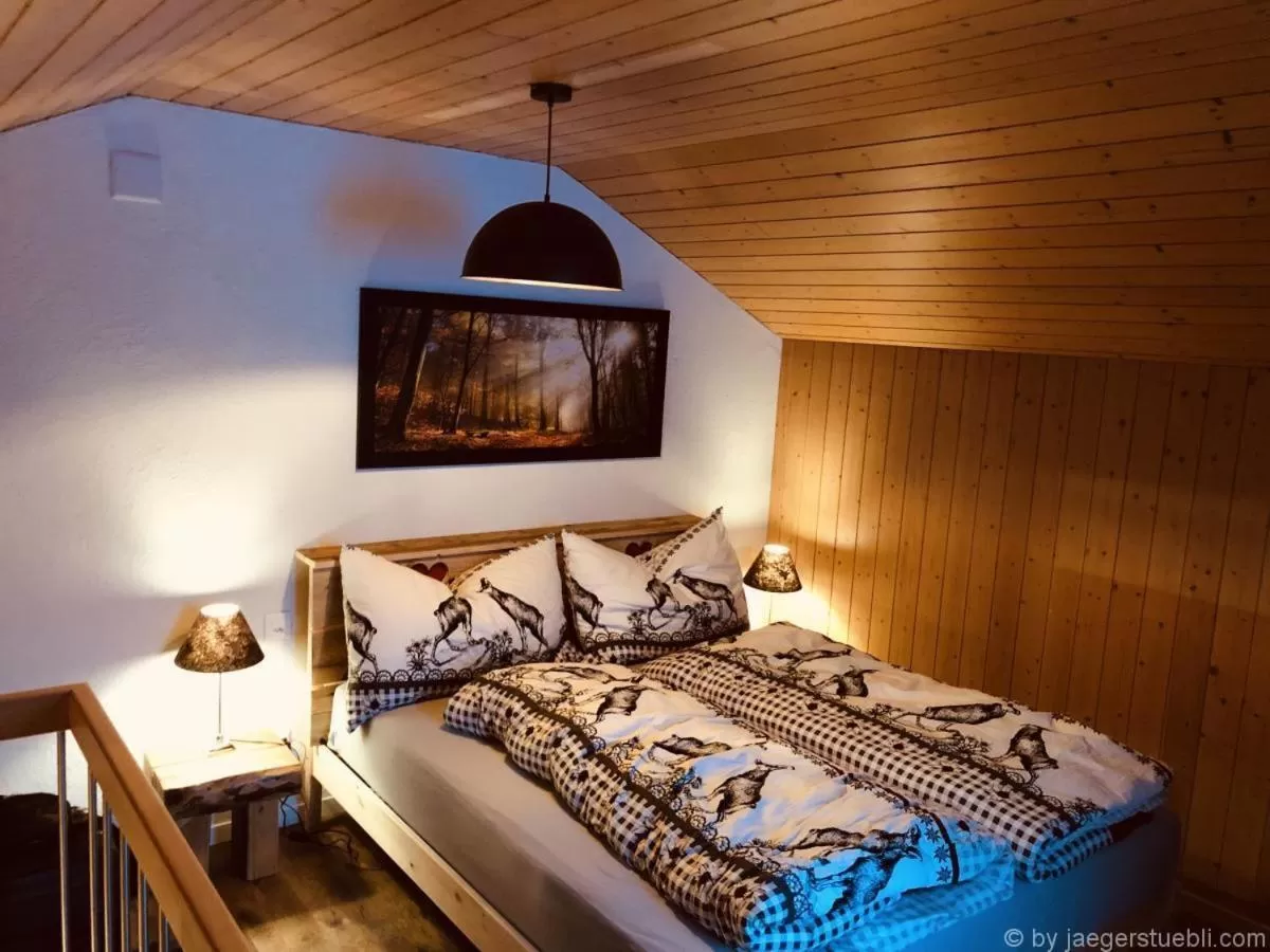 Double Room in Hotel Jägerstübli Grindelwald