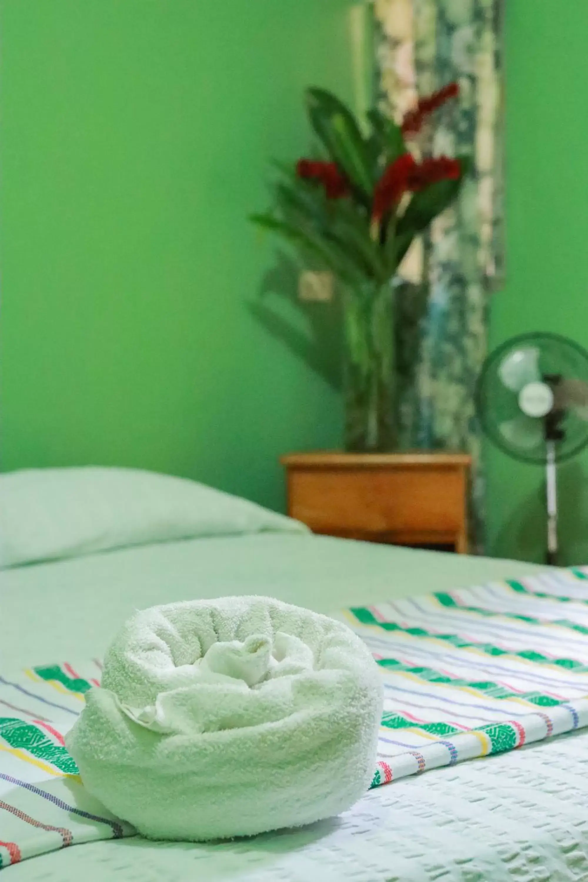 Budget Single Room - single occupancy in Hotel Rosalila Budget Single Room - single occupancy in Hotel Rosalila