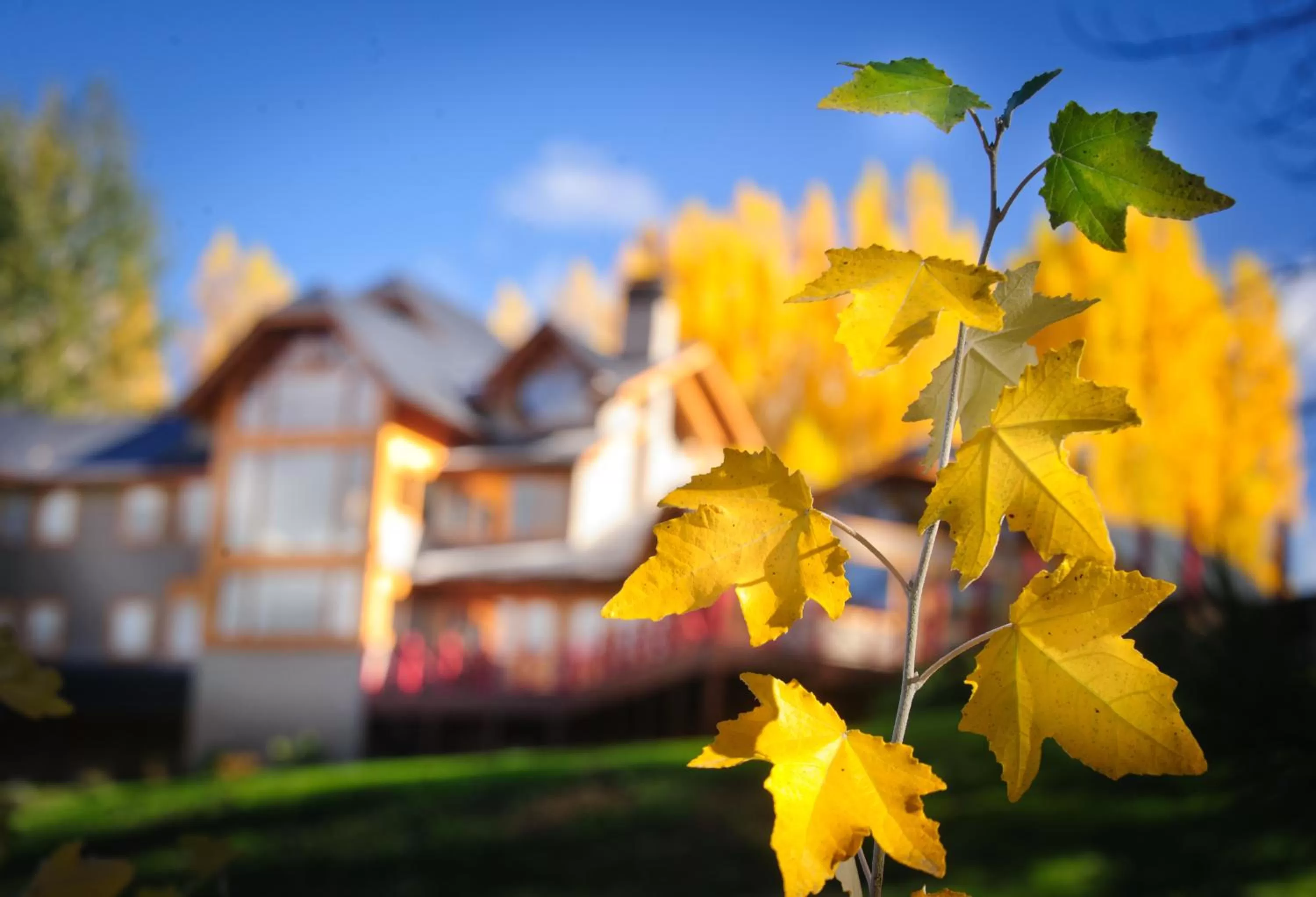 Property building in Casona Del Alto