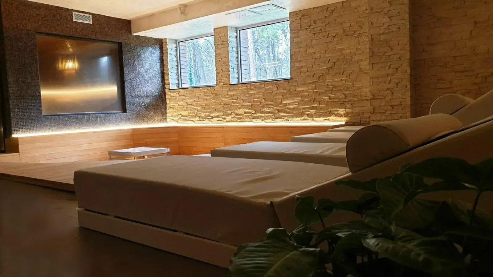 Sauna, Bed in Hissar Spa Hotel