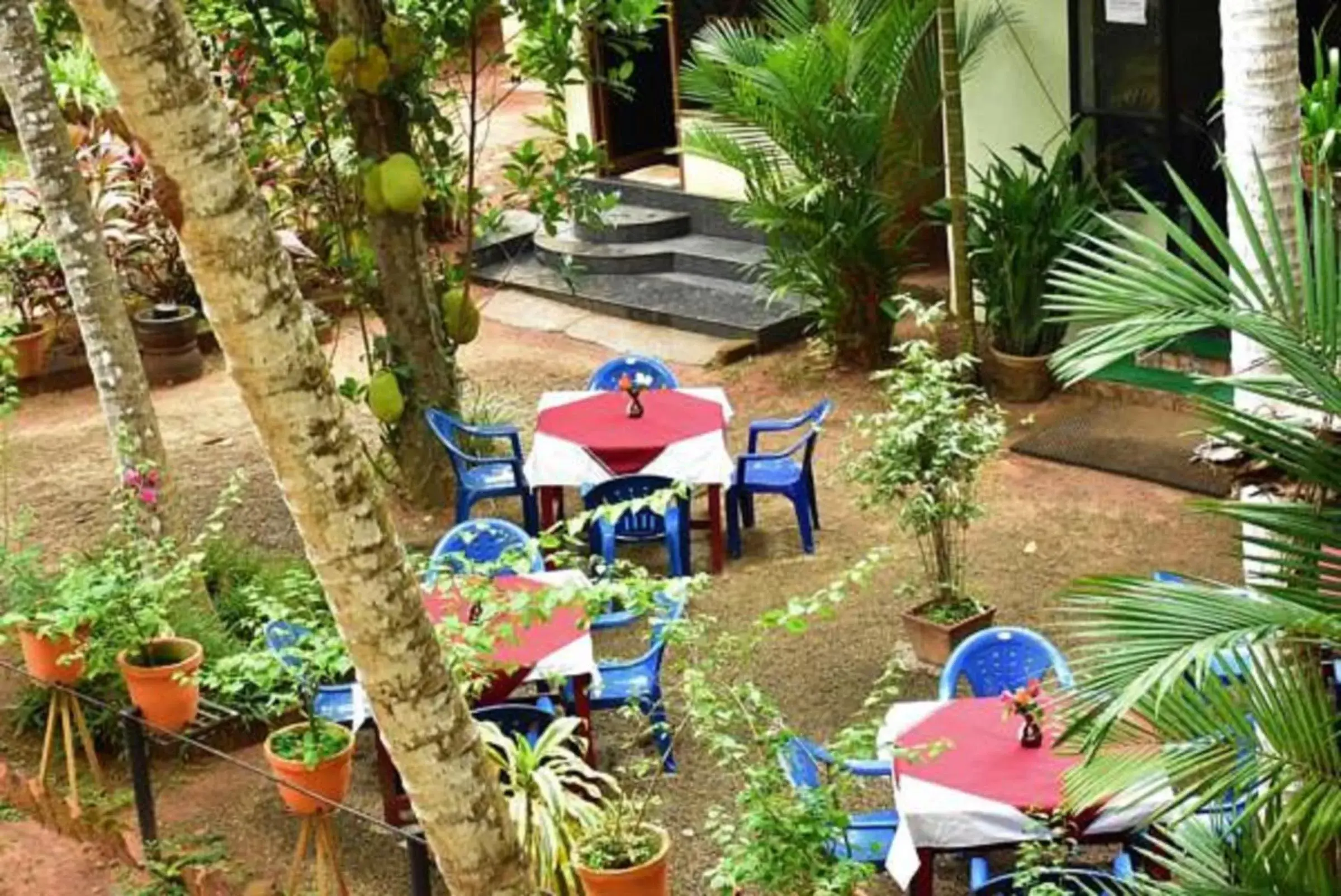 Restaurant/places to eat in Ideal Ayurvedic Resort Kovalam Restaurant/places to eat in Ideal Ayurvedic Resort Kovalam