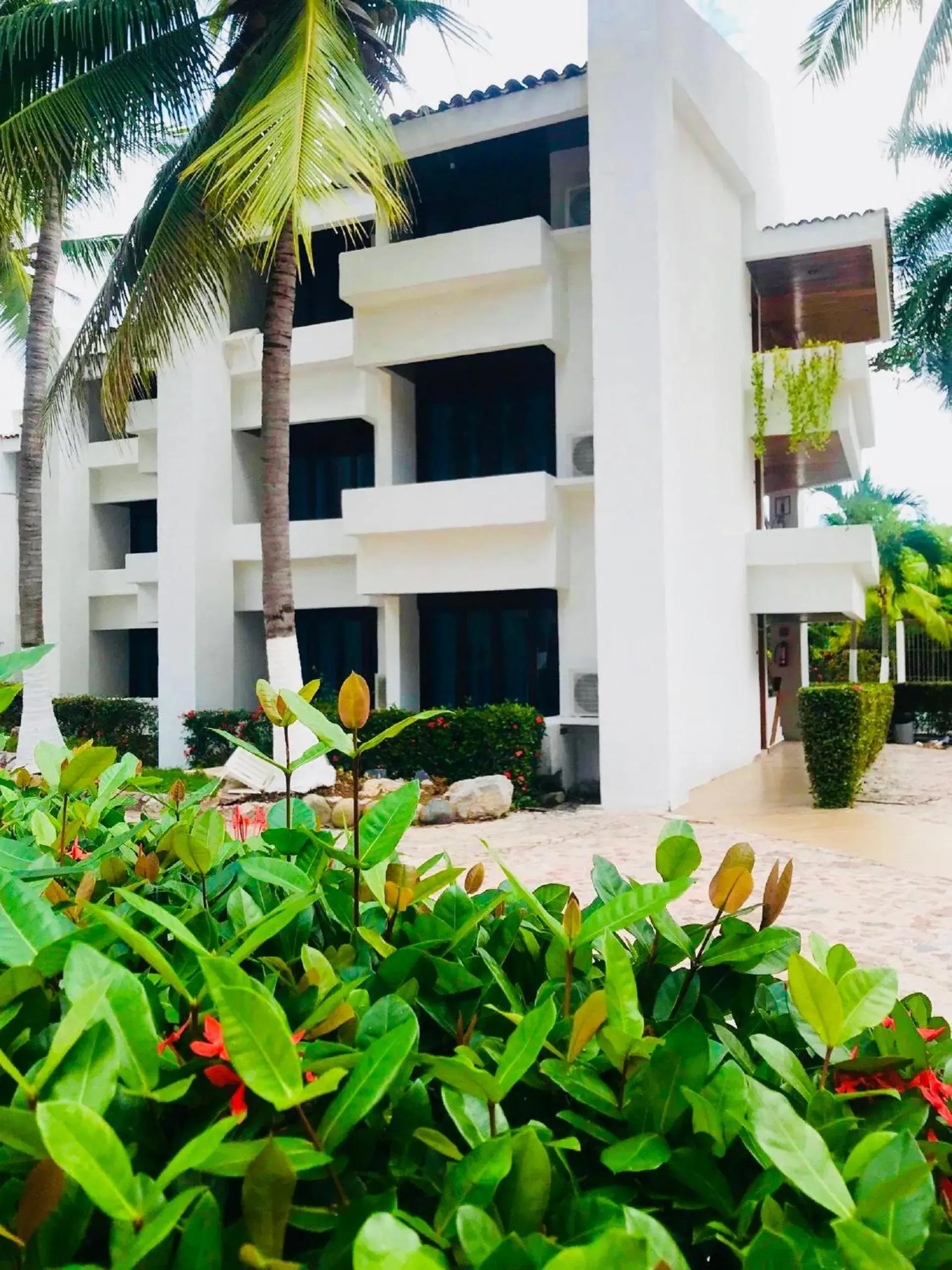 Patio, Property Building in Ixtapa Palace