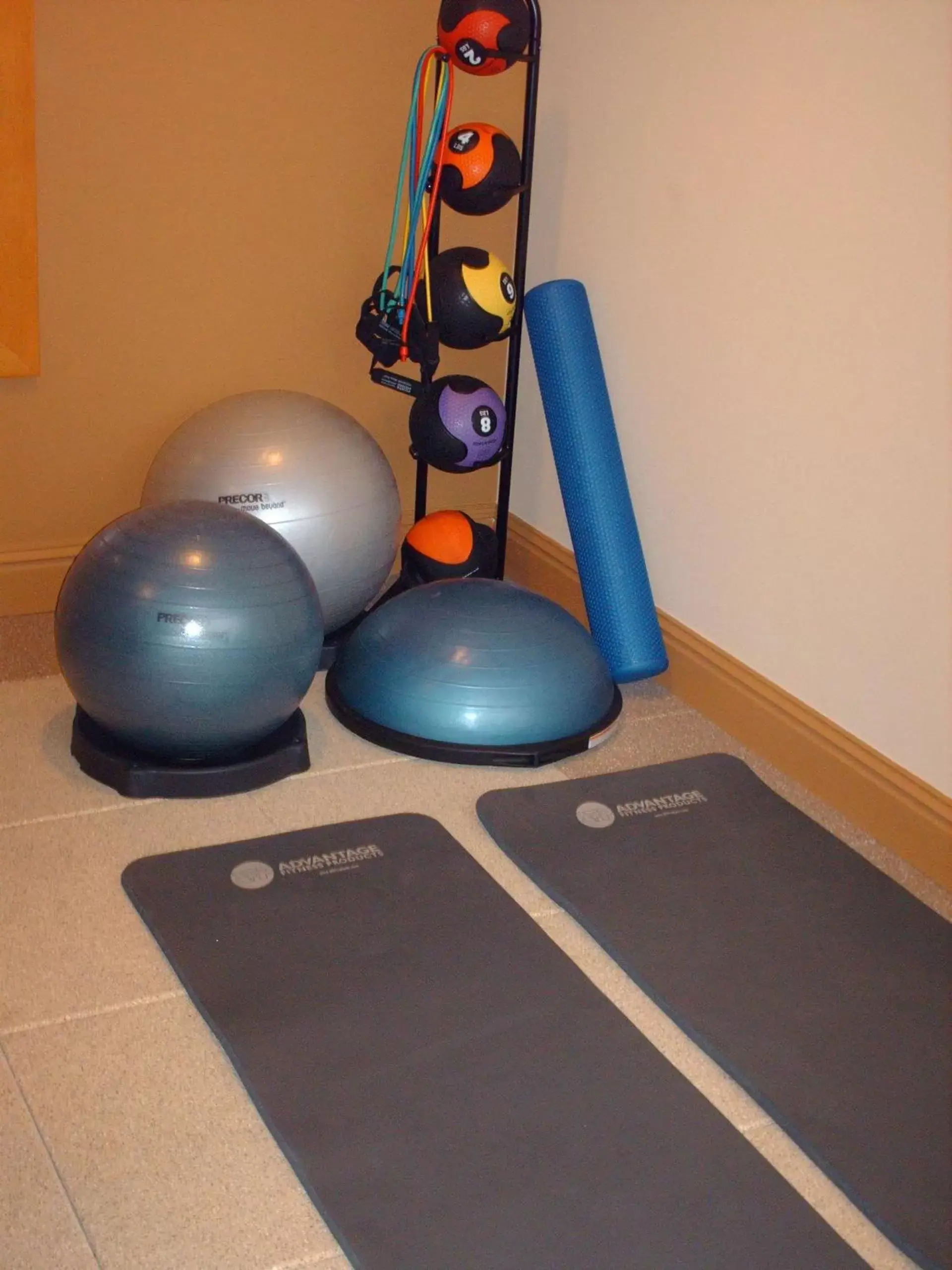 Fitness centre/facilities, Fitness Center/Facilities in Hilton St. Louis Frontenac