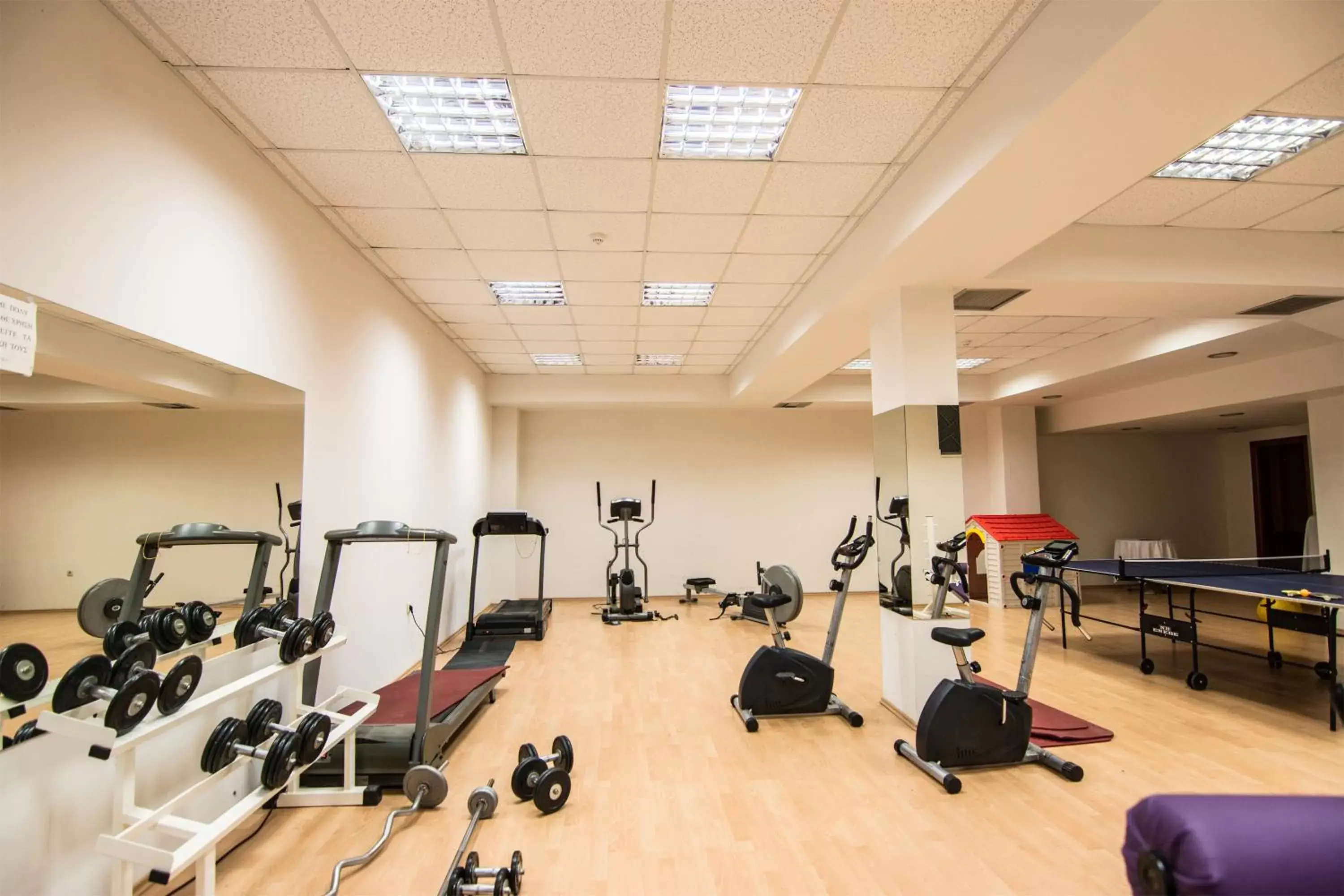 Fitness centre/facilities, Fitness Center/Facilities in Nefeli Hotel