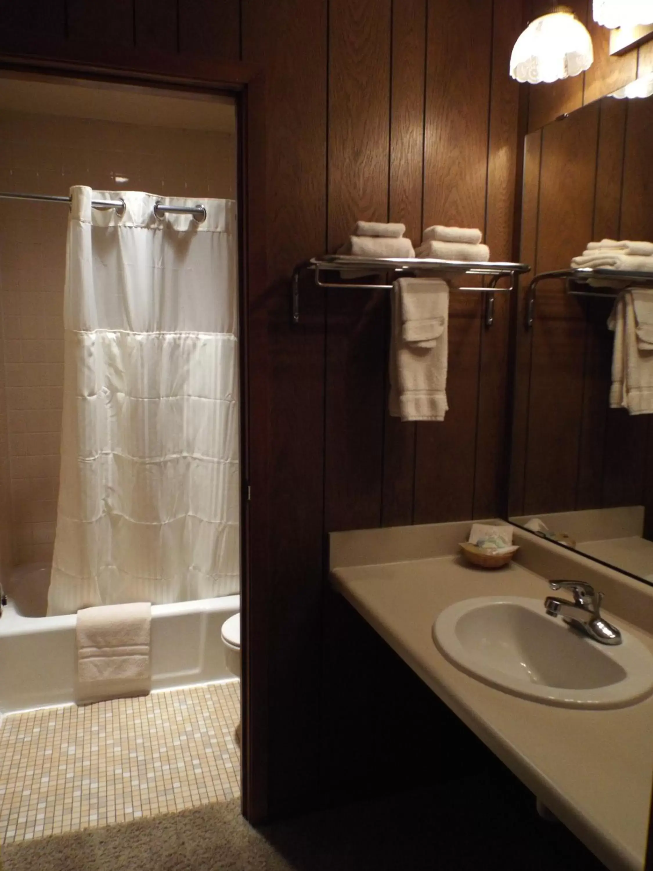 Bathroom in Historic Franklin Hotel