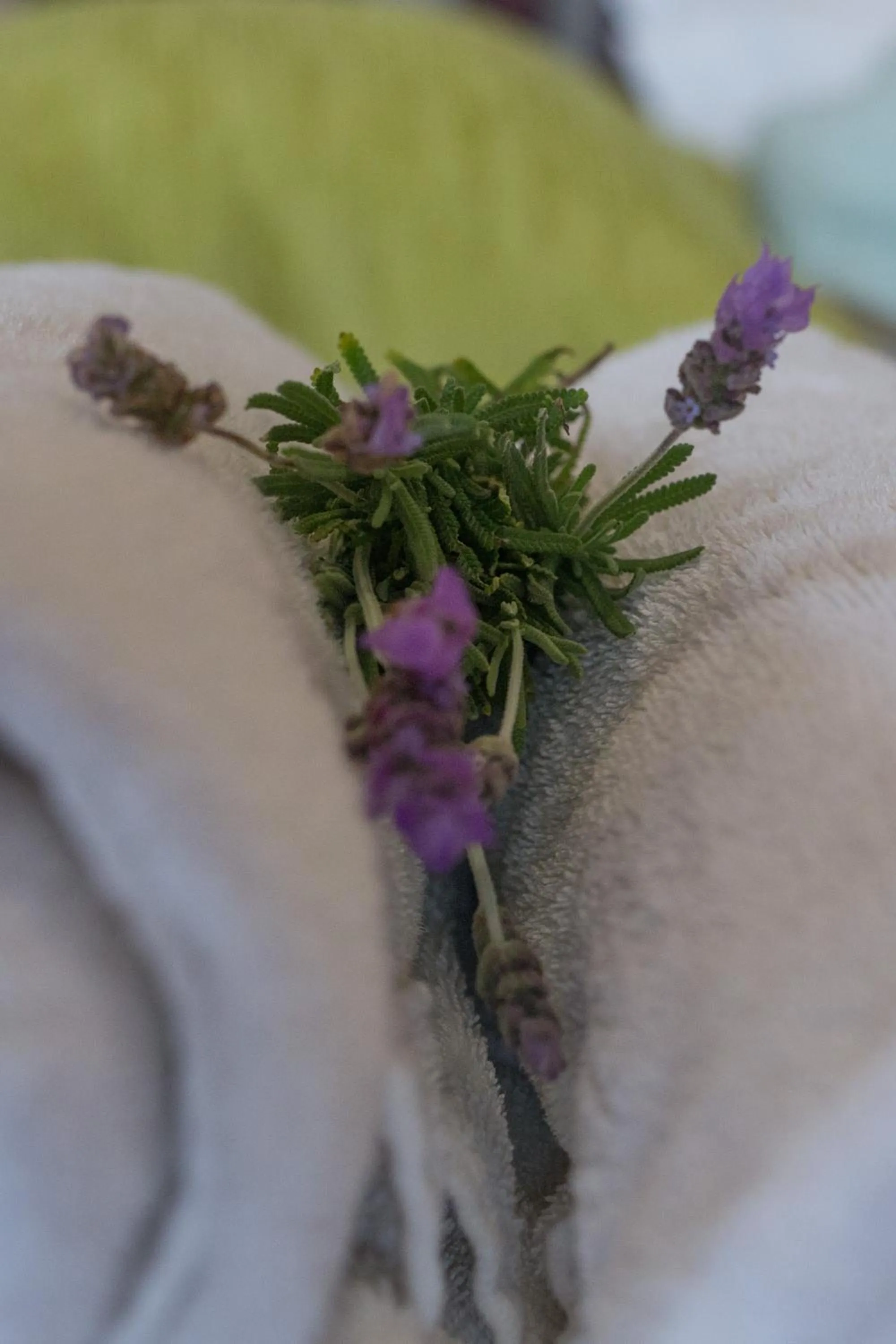 Superior Queen Room in Harewood Lodge