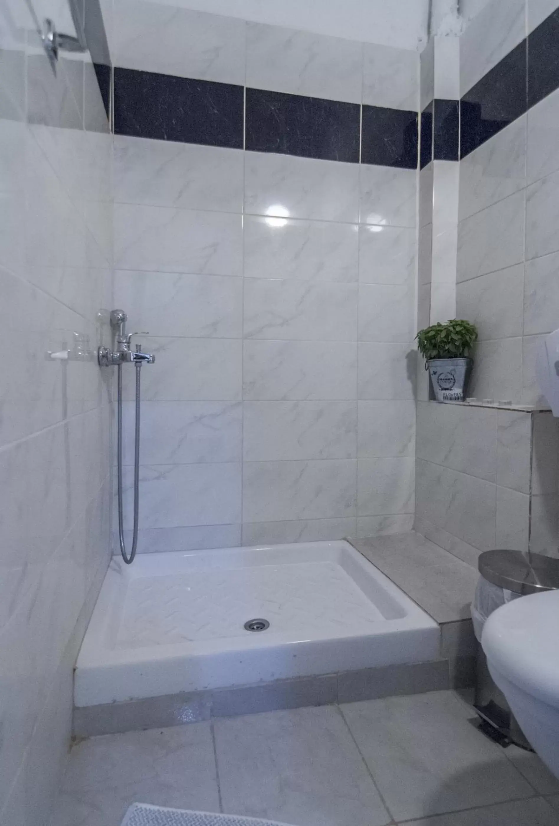 Shower, Bathroom in Elikon