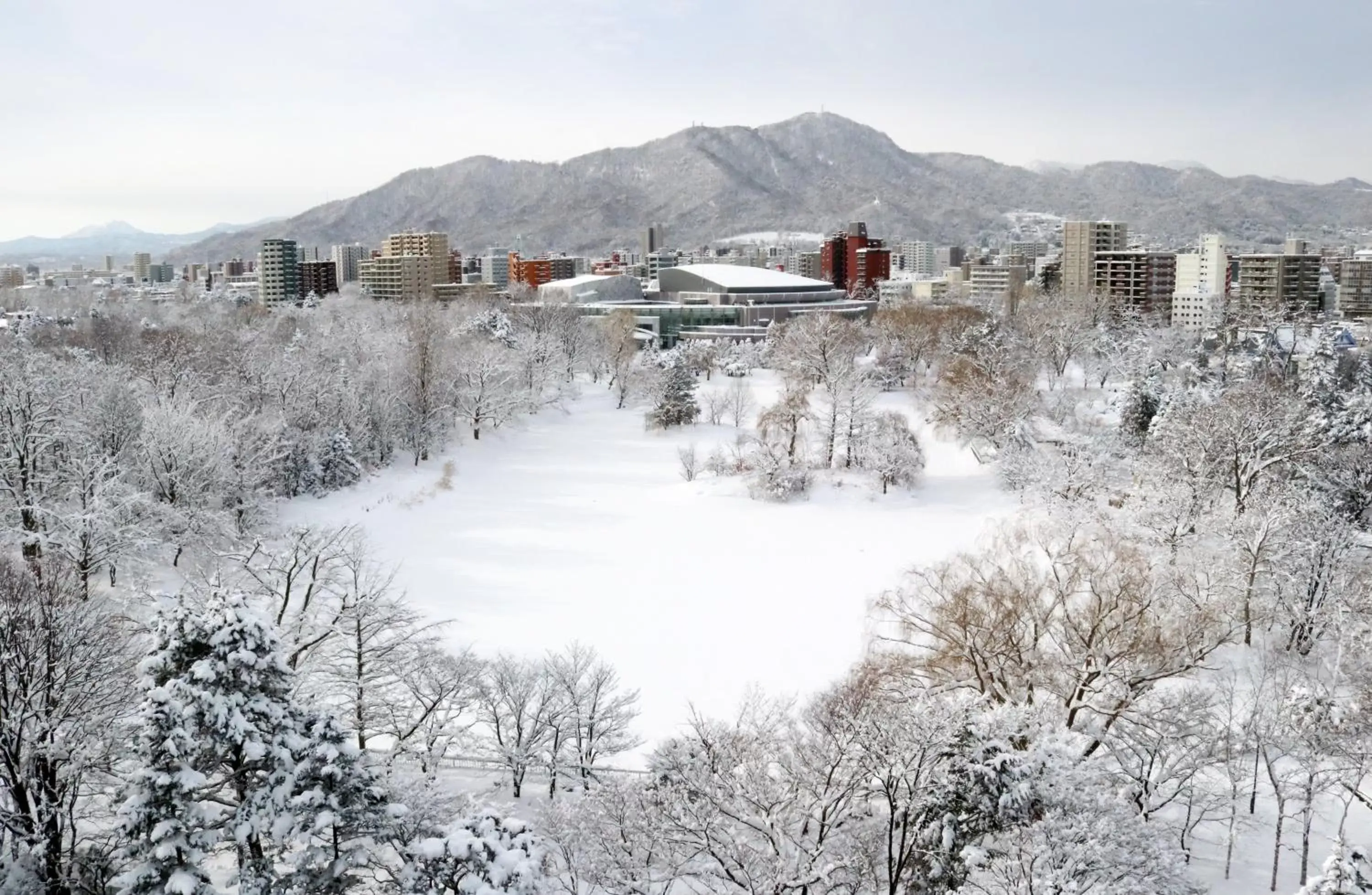 View (from property/room), Winter in Sapporo Park Hotel