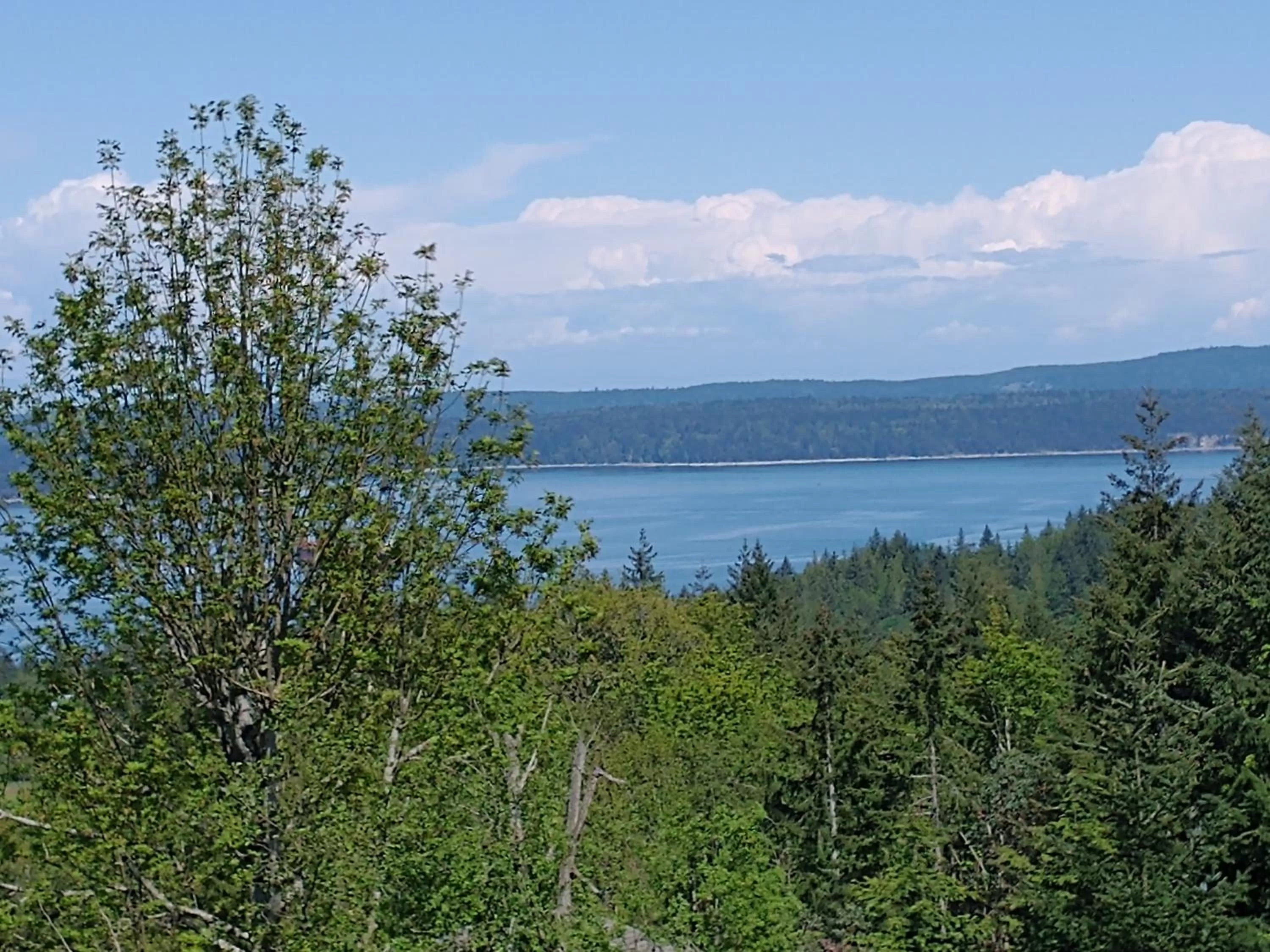 Sea view in By the Bay Lavender Villa