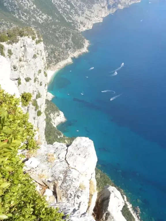 Bird's-eye View in B&B Selvaggio Blu