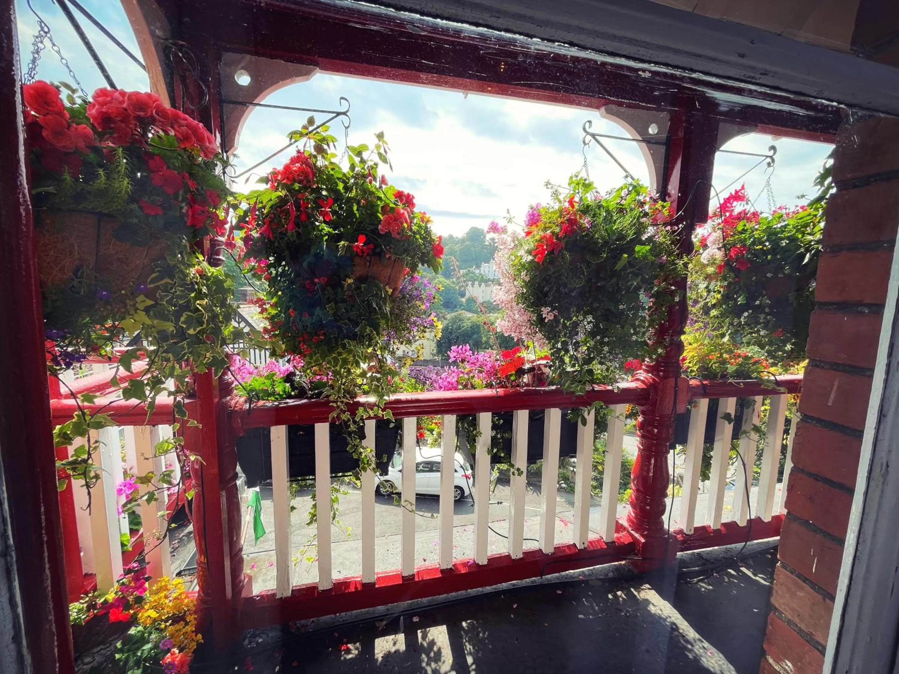 Garden in The Robin Hill