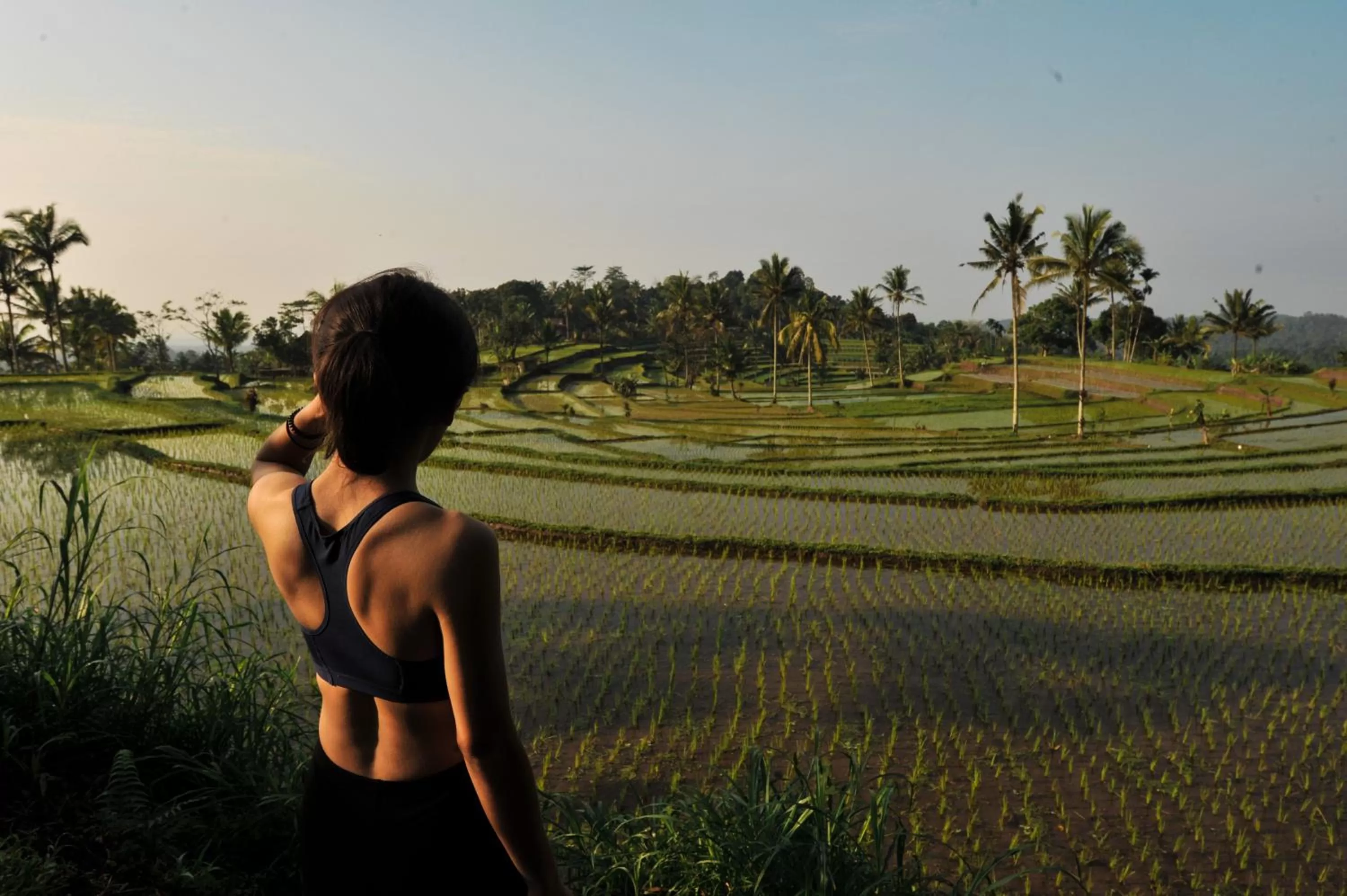 View (from property/room) in Ijen Resort and Villas - The Hidden Paradise