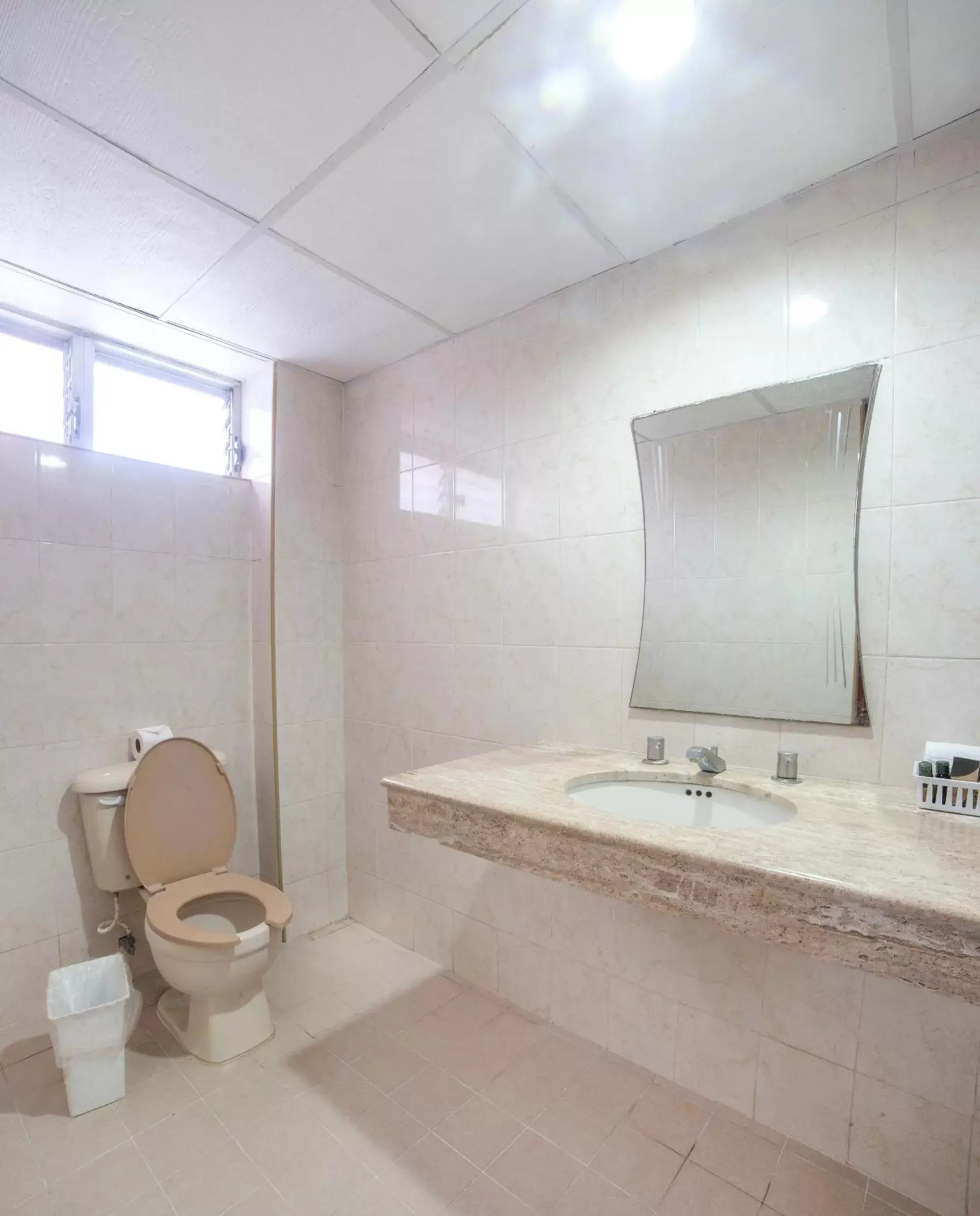 Toilet, Bathroom in Caribe Princess