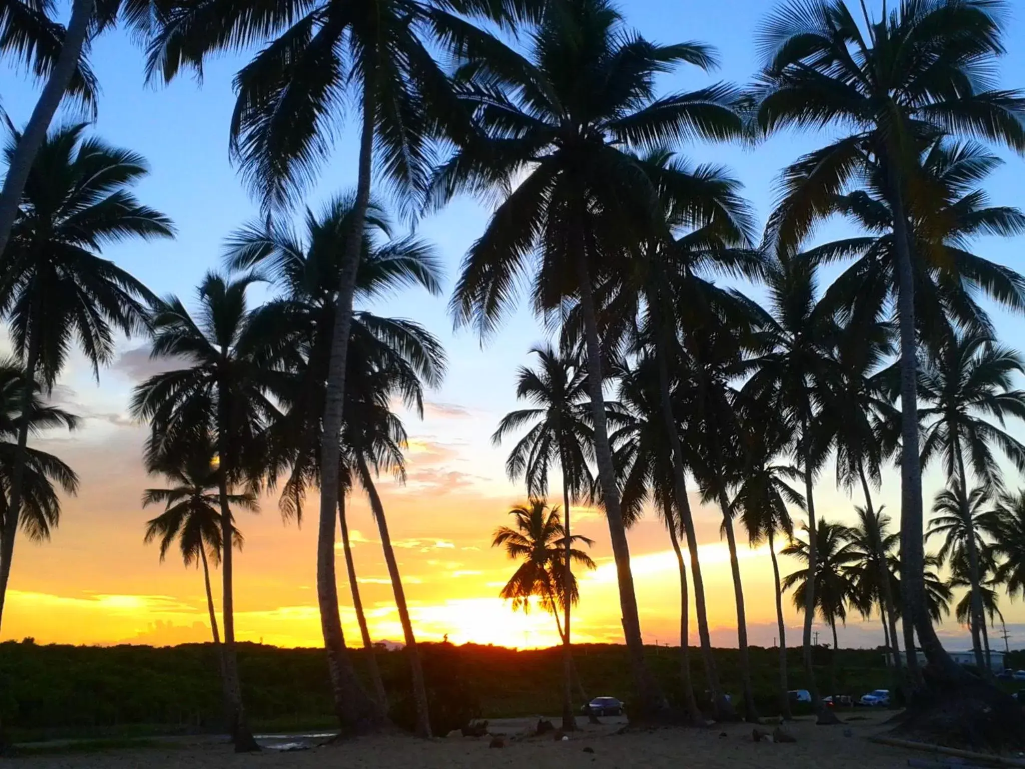 Beach, Sunrise/Sunset in Riviera Punta Cana Eco Travelers