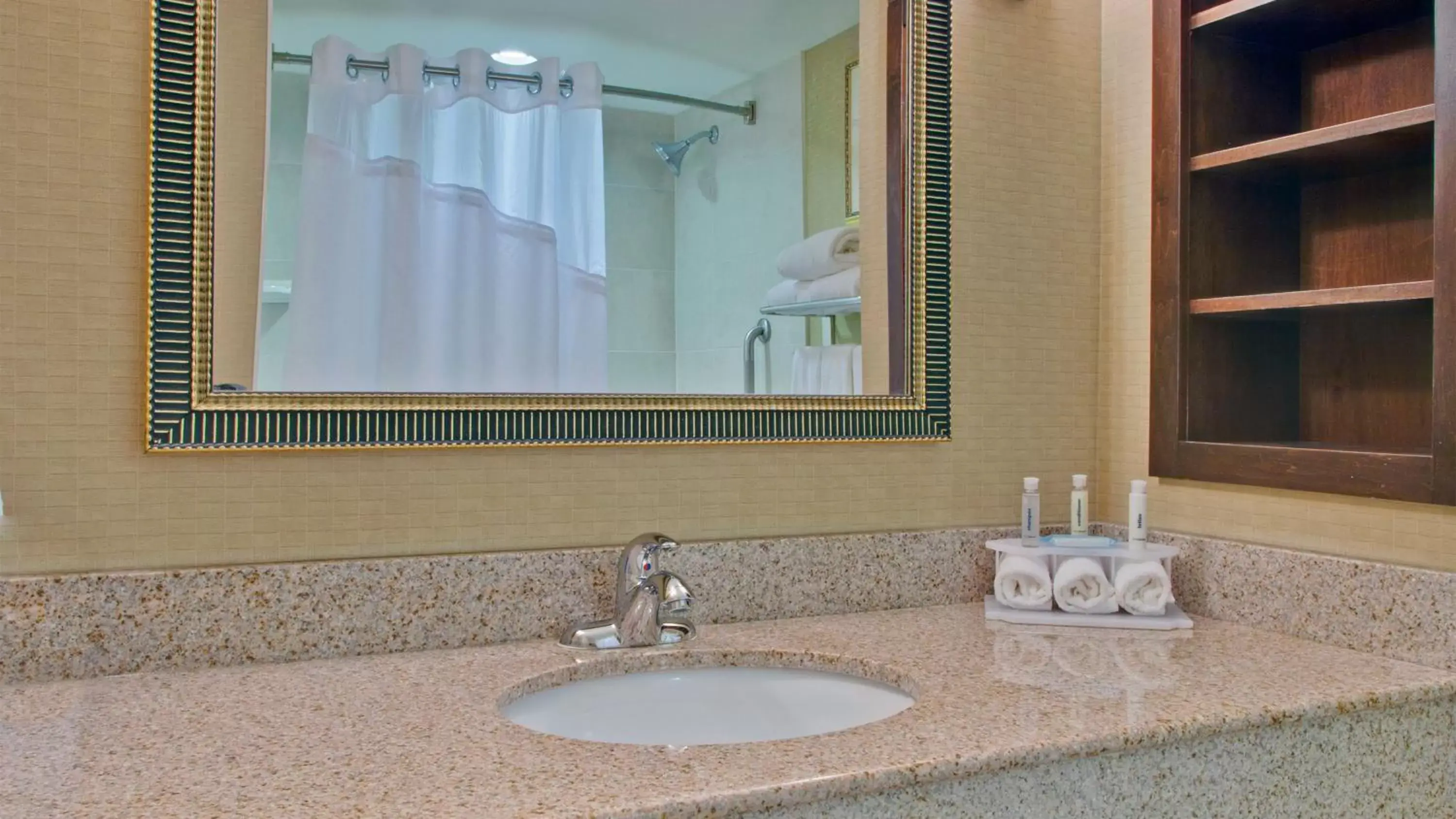 Bathroom in Holiday Inn Express & Suites Huntsville, an IHG Hotel