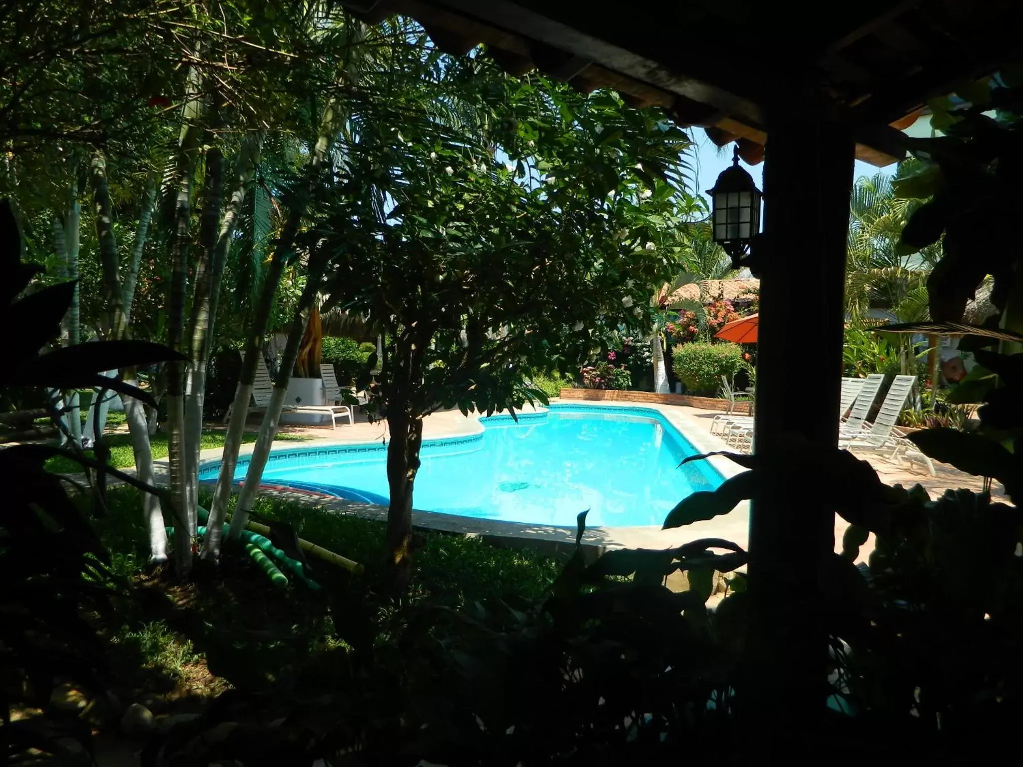 Day, Swimming Pool in Hotel Casamar Suites