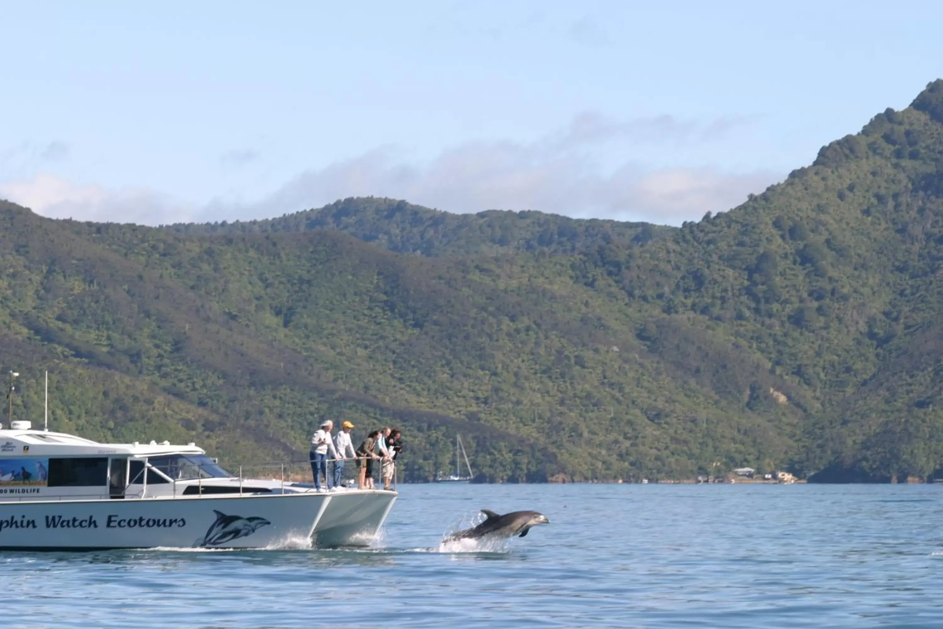 Area and facilities in Picton Yacht Club Hotel