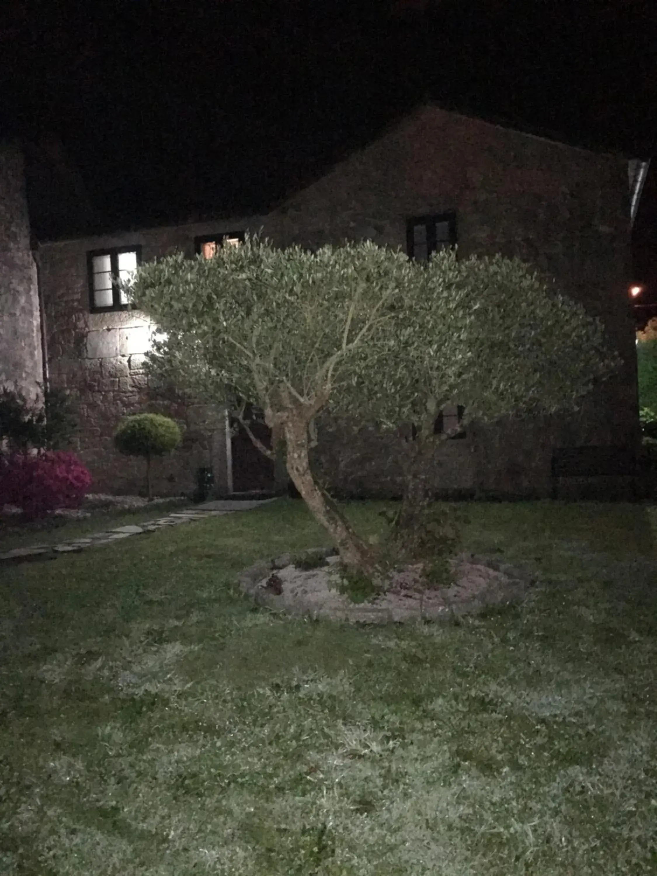 Garden, Property Building in A Casa da Meixida