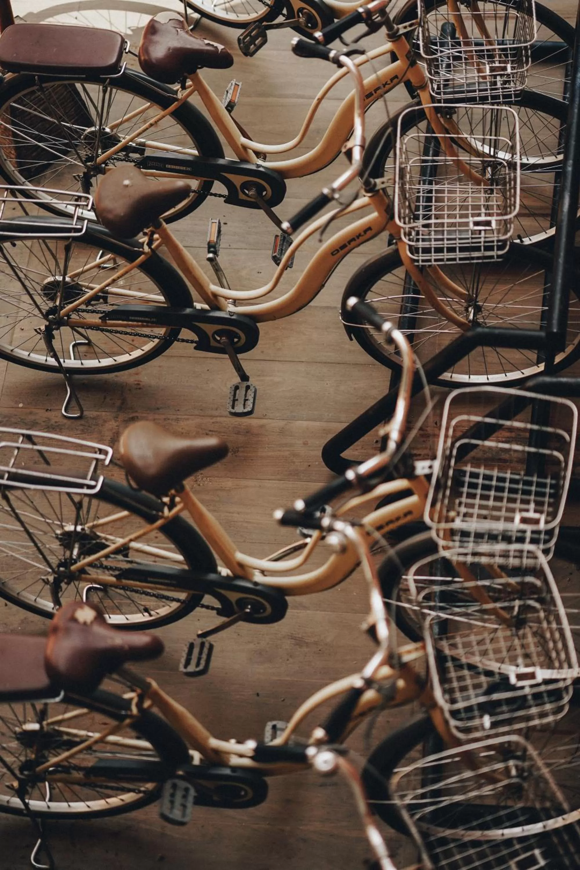 Area and facilities in Content Villa Chiangmai