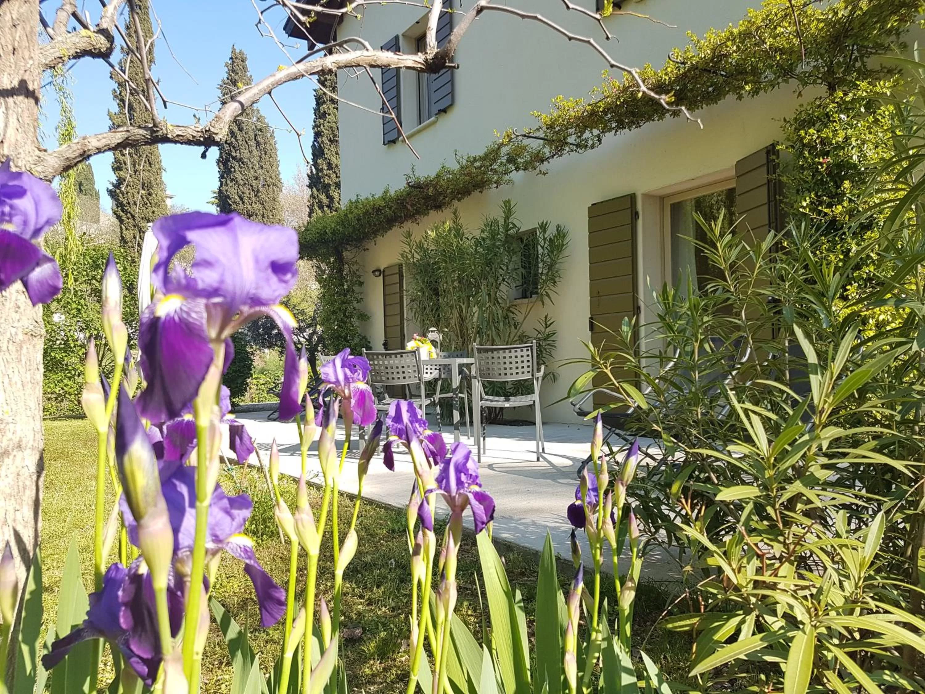 Property building in L'Isolo b&b e case vacanza