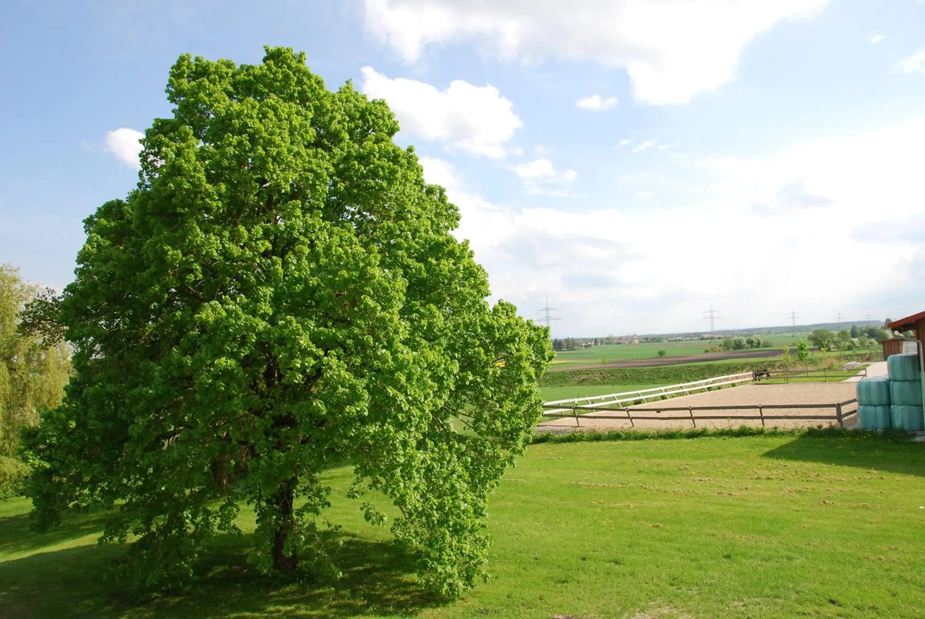 Area and facilities in Hotel Parsberg