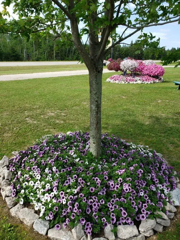 Garden in Sunset Motel of St. Ignace