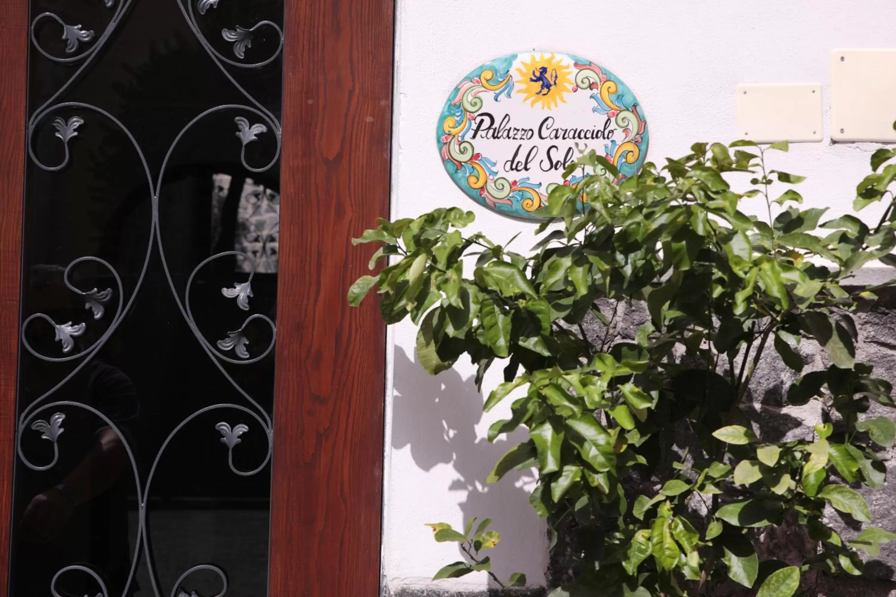 Facade/entrance in Palazzo Caracciolo del Sole Facade/entrance in Palazzo Caracciolo del Sole