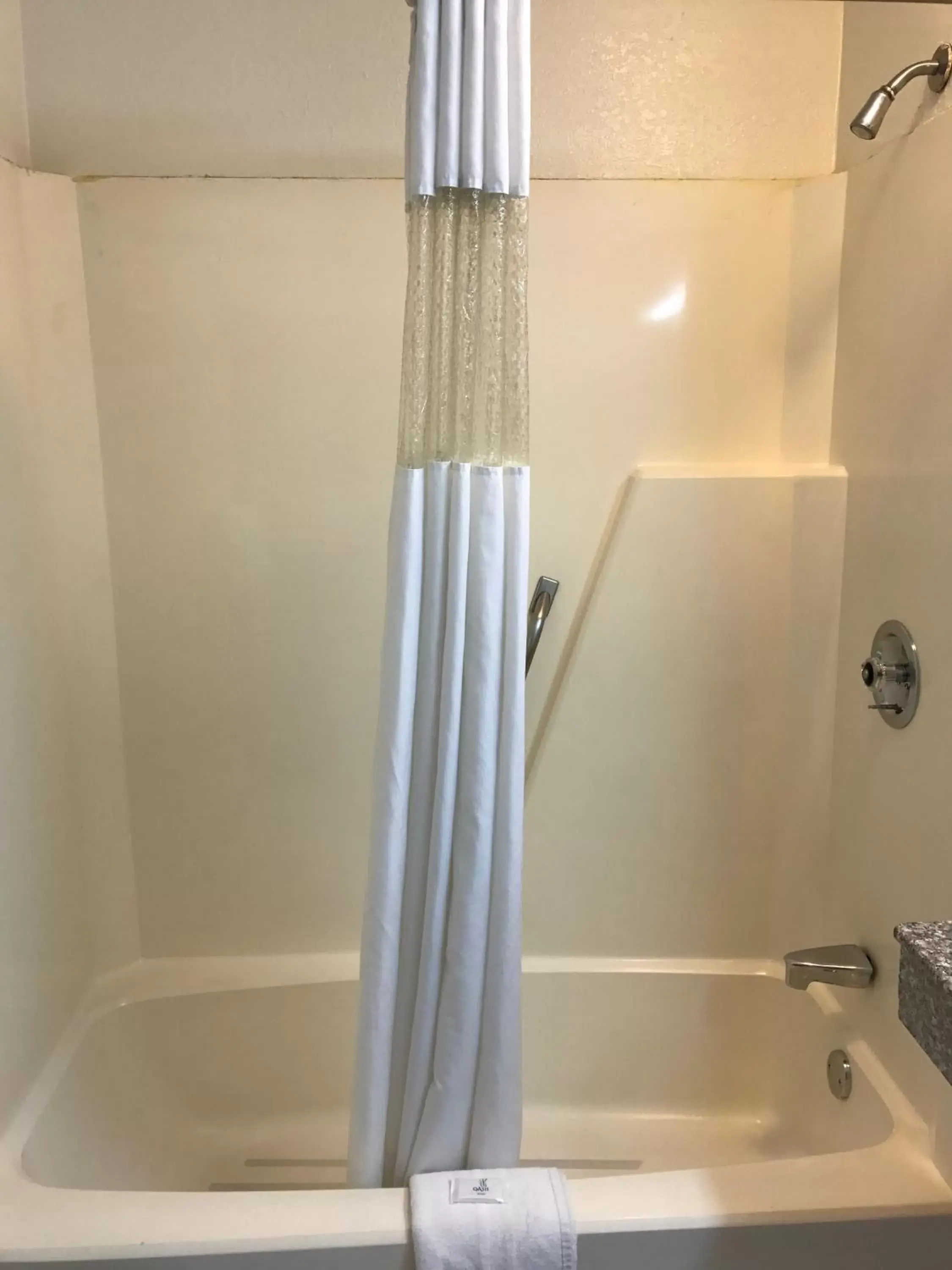 Shower, Bathroom in Royal Regency Inn
