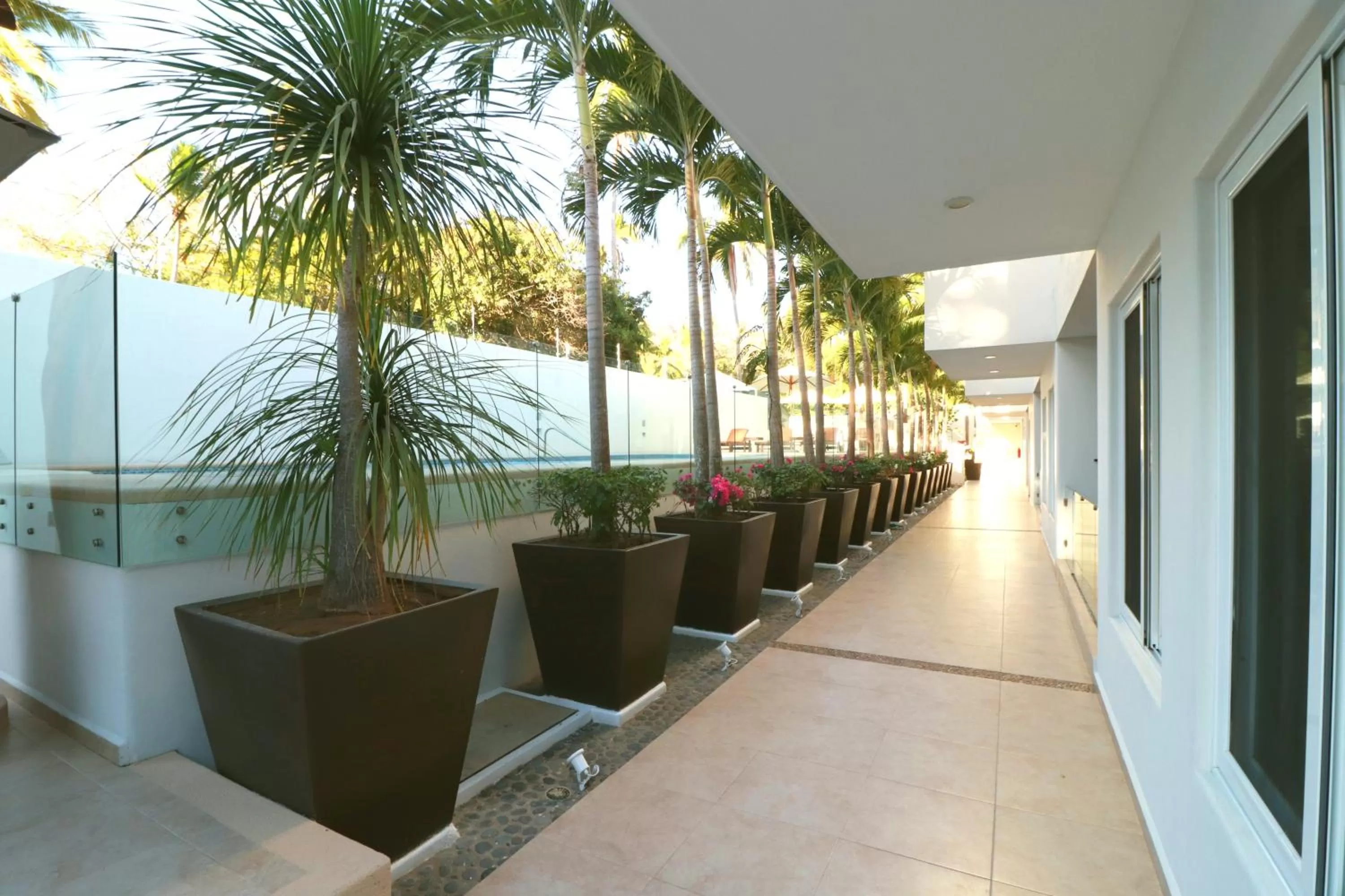 Patio in LYDMAR BOUTIQUE HOTEL