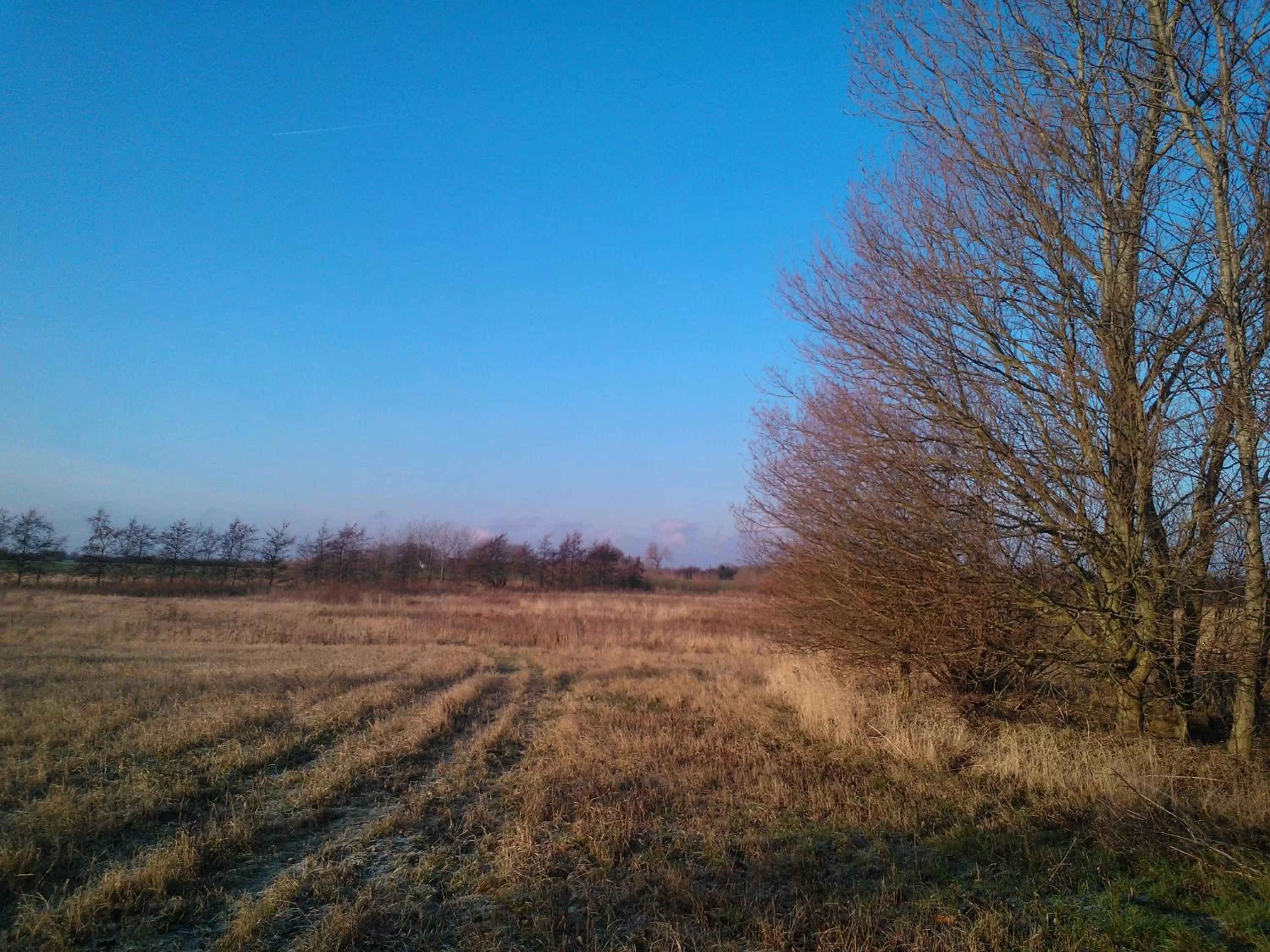 Holmehuset Bed & Breakfast