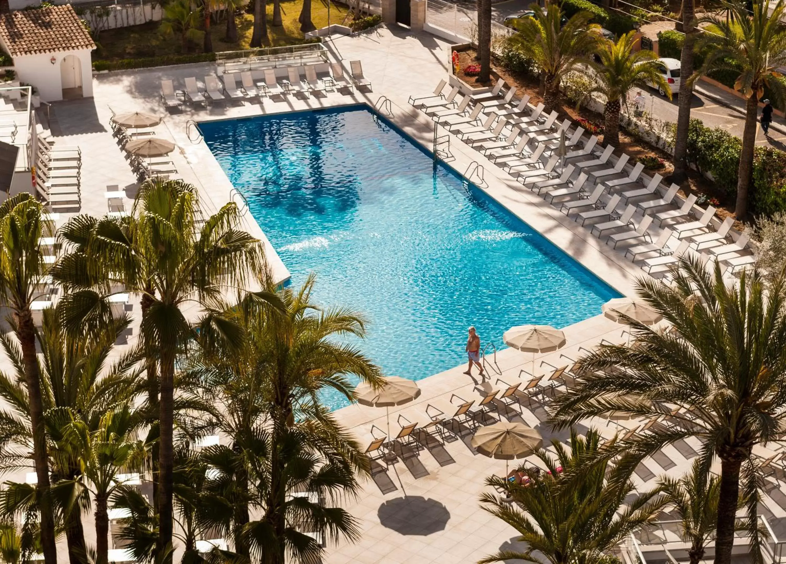 Swimming pool, Pool View in Globales Palmanova