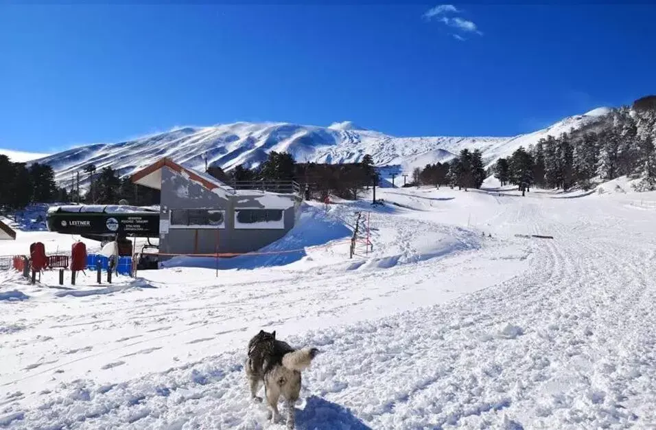 Ski School, Winter in B&B BOUTIQUE DI CHARME "ETNA-RELAX-NATURA"