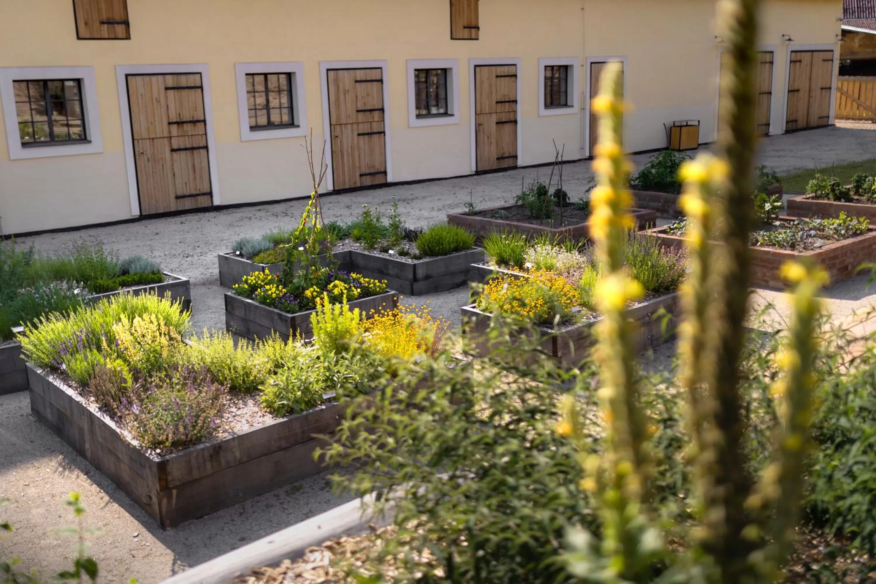 Activities in Penzion Panský dvůr Telč