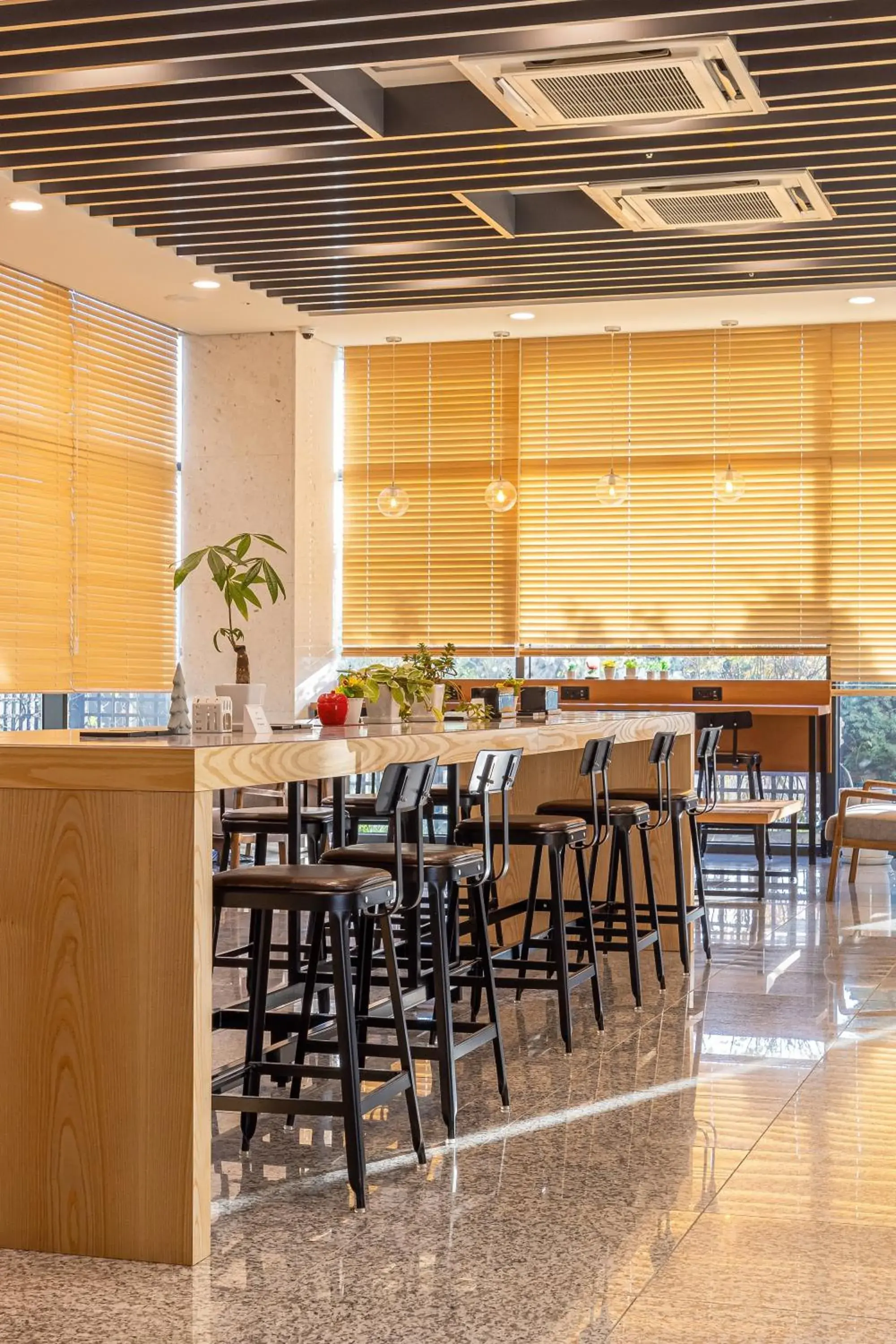 Ocean Soleview Hotel Ocean Soleview Hotel