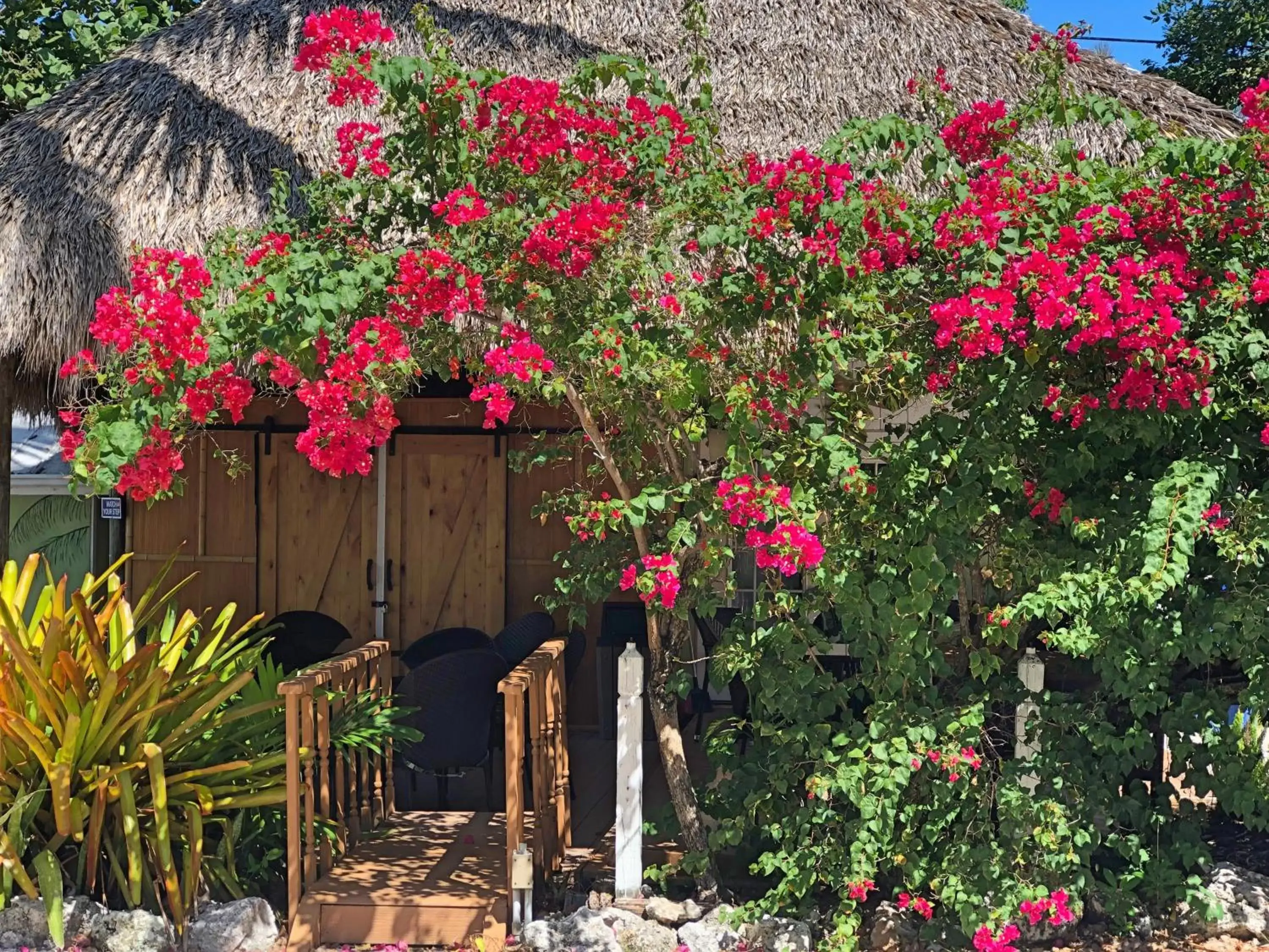 Patio in The Pelican Key Largo Cottages