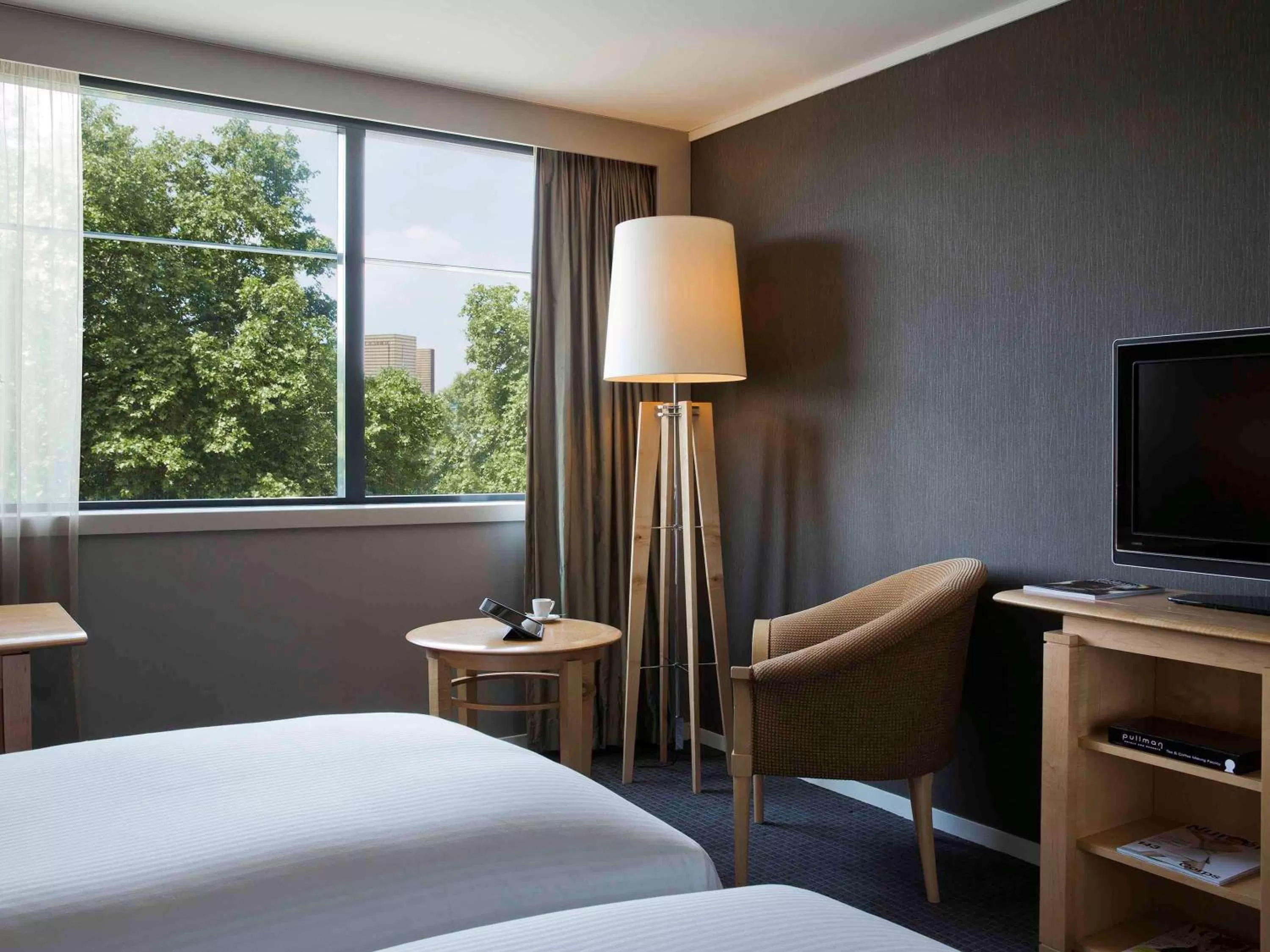Classic Room With Two Single Beds in Pullman Paris Centre - Bercy