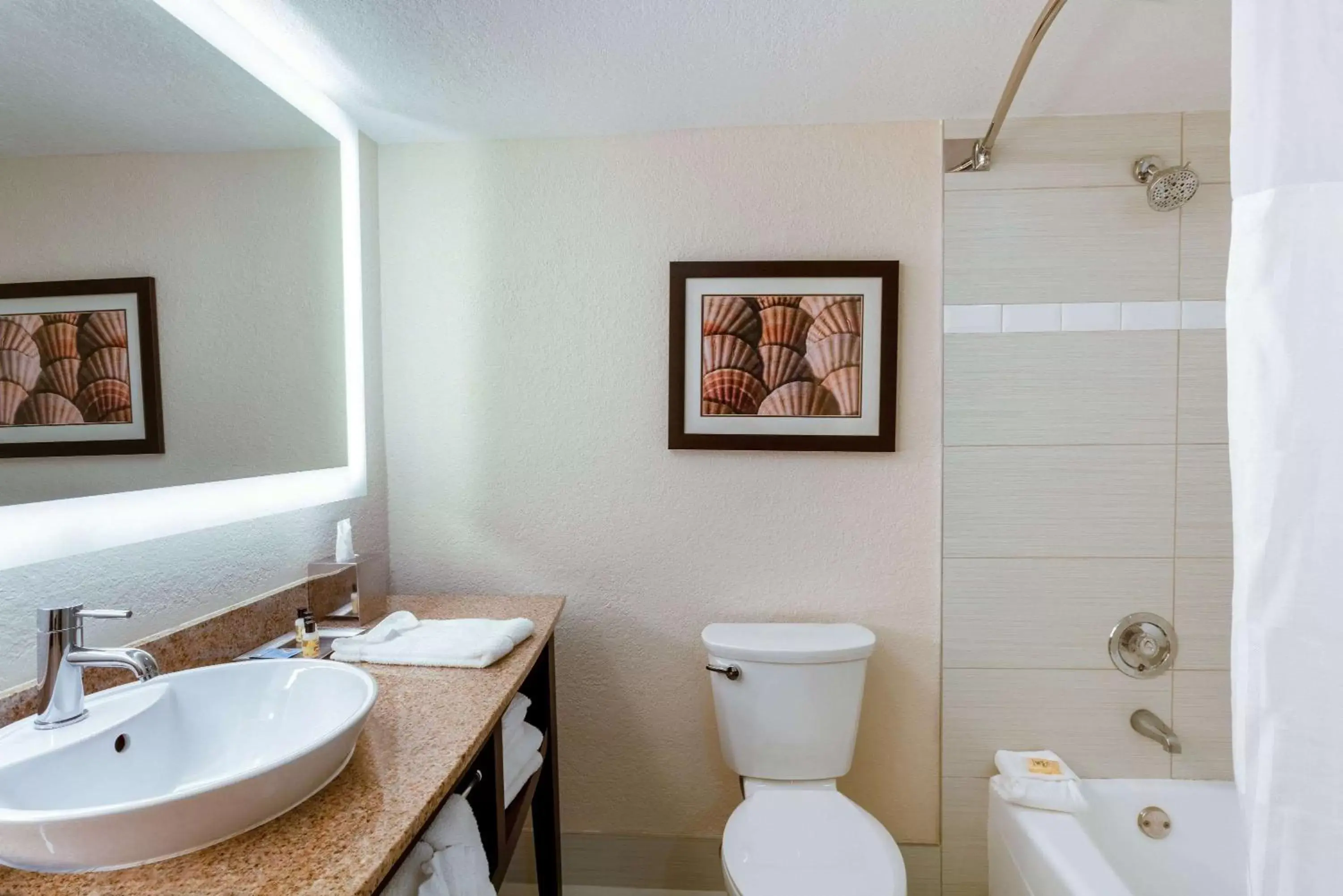 Bathroom in Wyndham Boca Raton Hotel