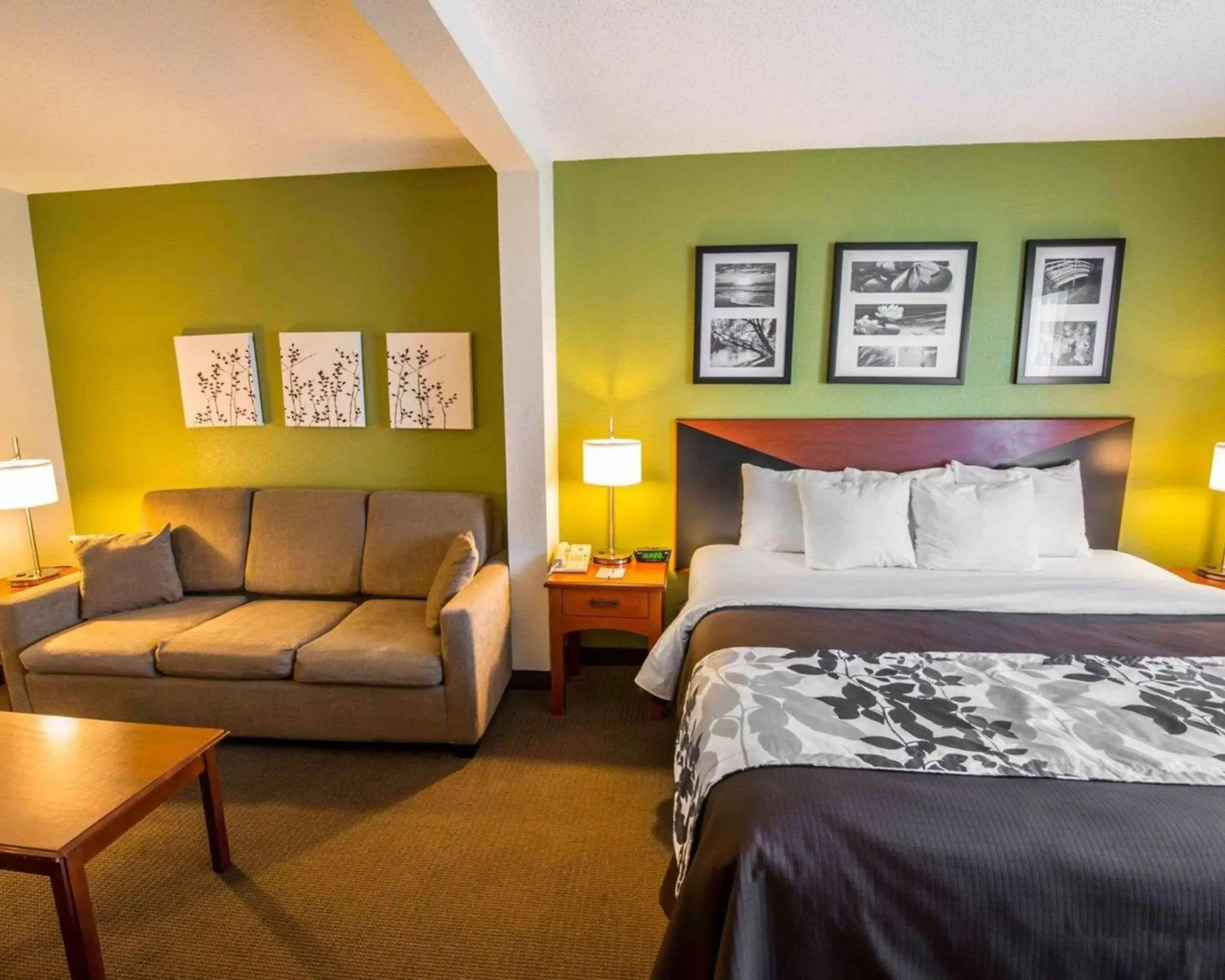Bedroom, Bed in Sleep Inn & Suites Princeton I-77
