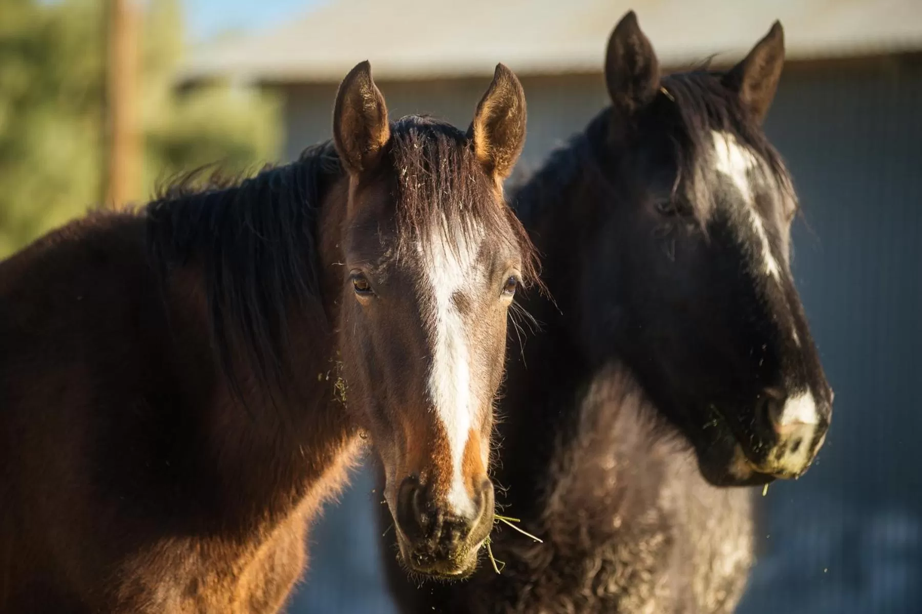Property building in Amargosa Opera House & Hotel
