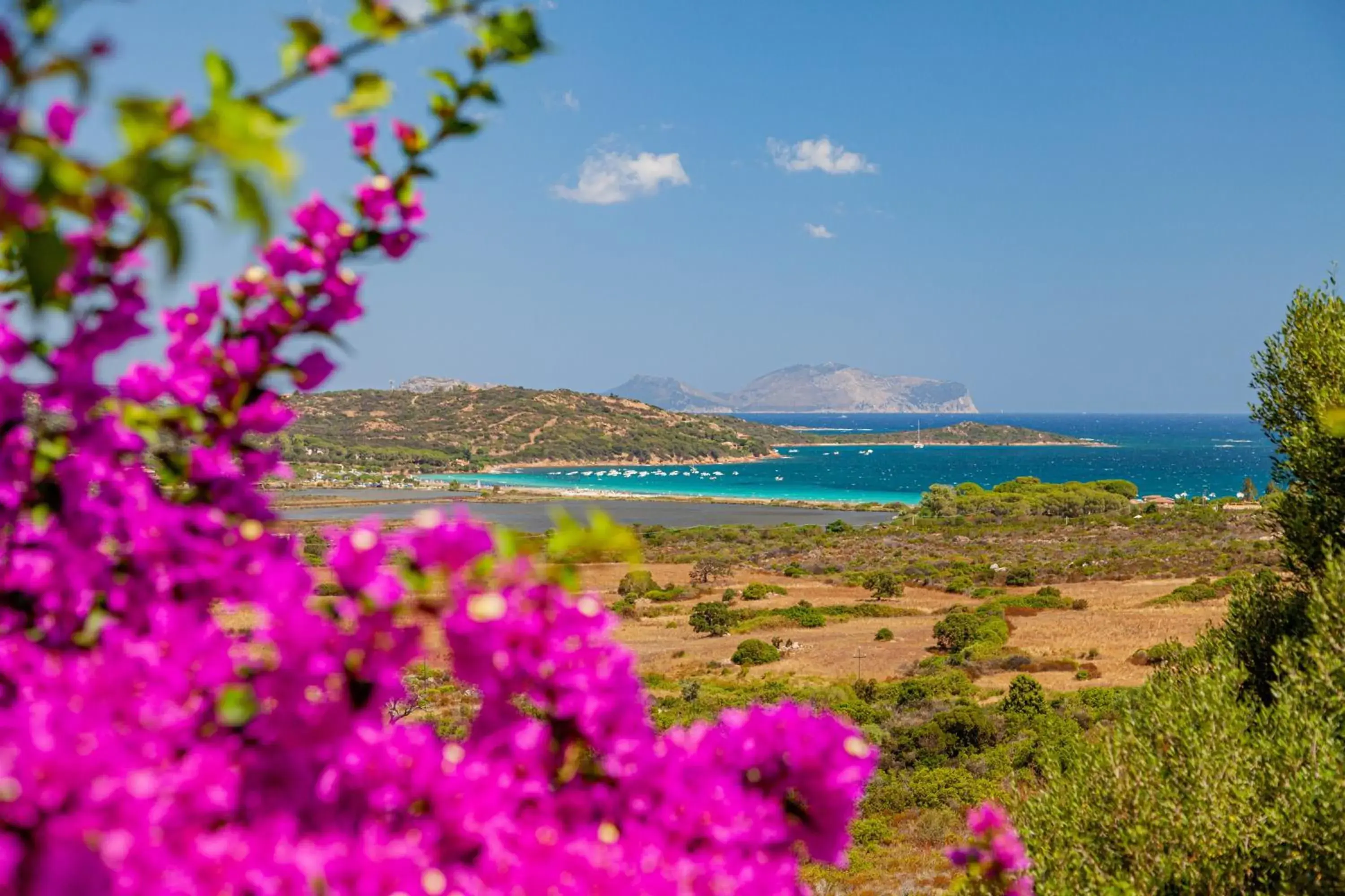 Natural landscape in Residence Hotel Lu Nibareddu