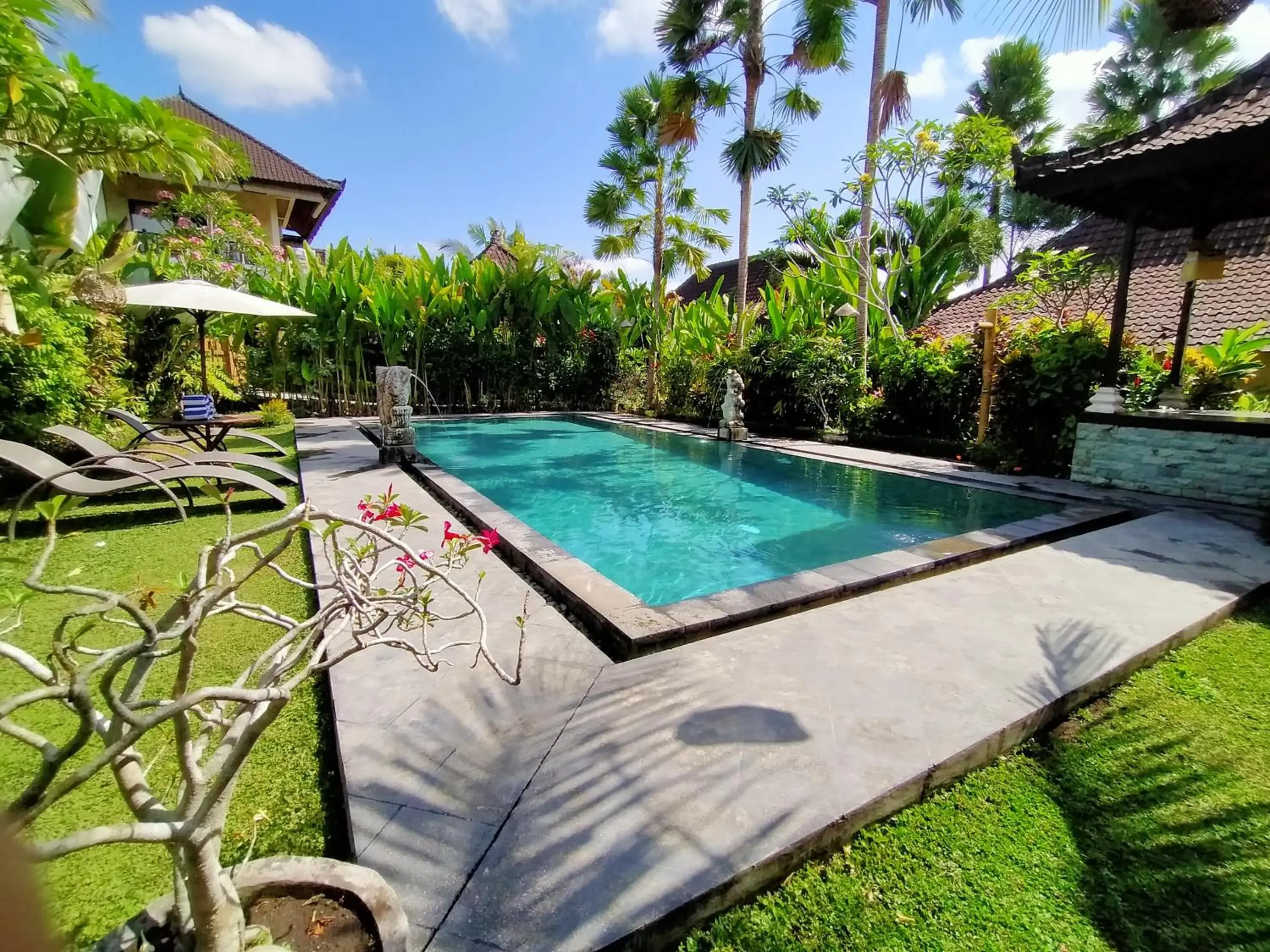 Swimming pool in Bali Dream Resort Ubud Swimming pool in Bali Dream Resort Ubud