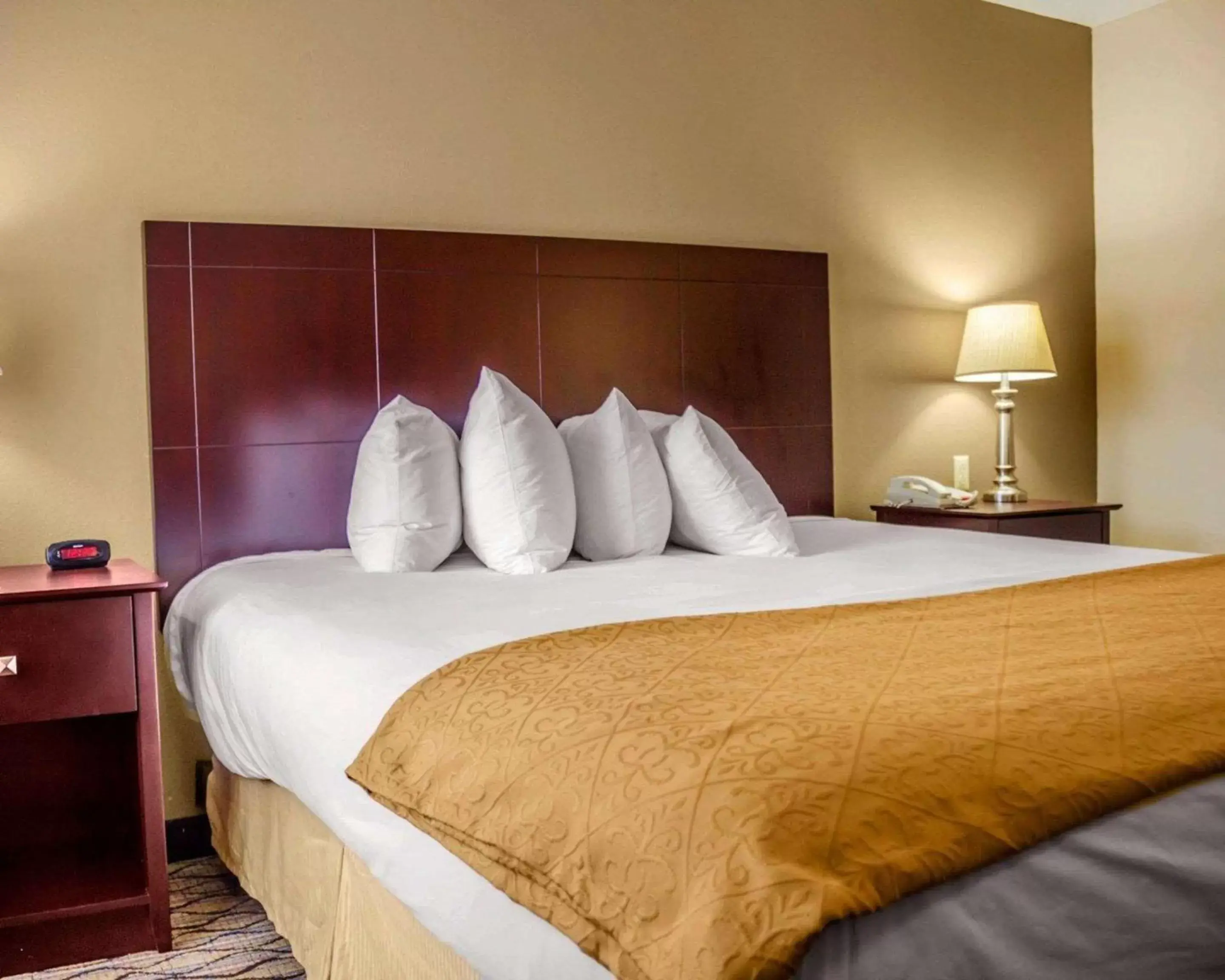 Photo of the whole room, Bed in Quality Inn Waterbury East Photo of the whole room, Bed in Quality Inn Waterbury East