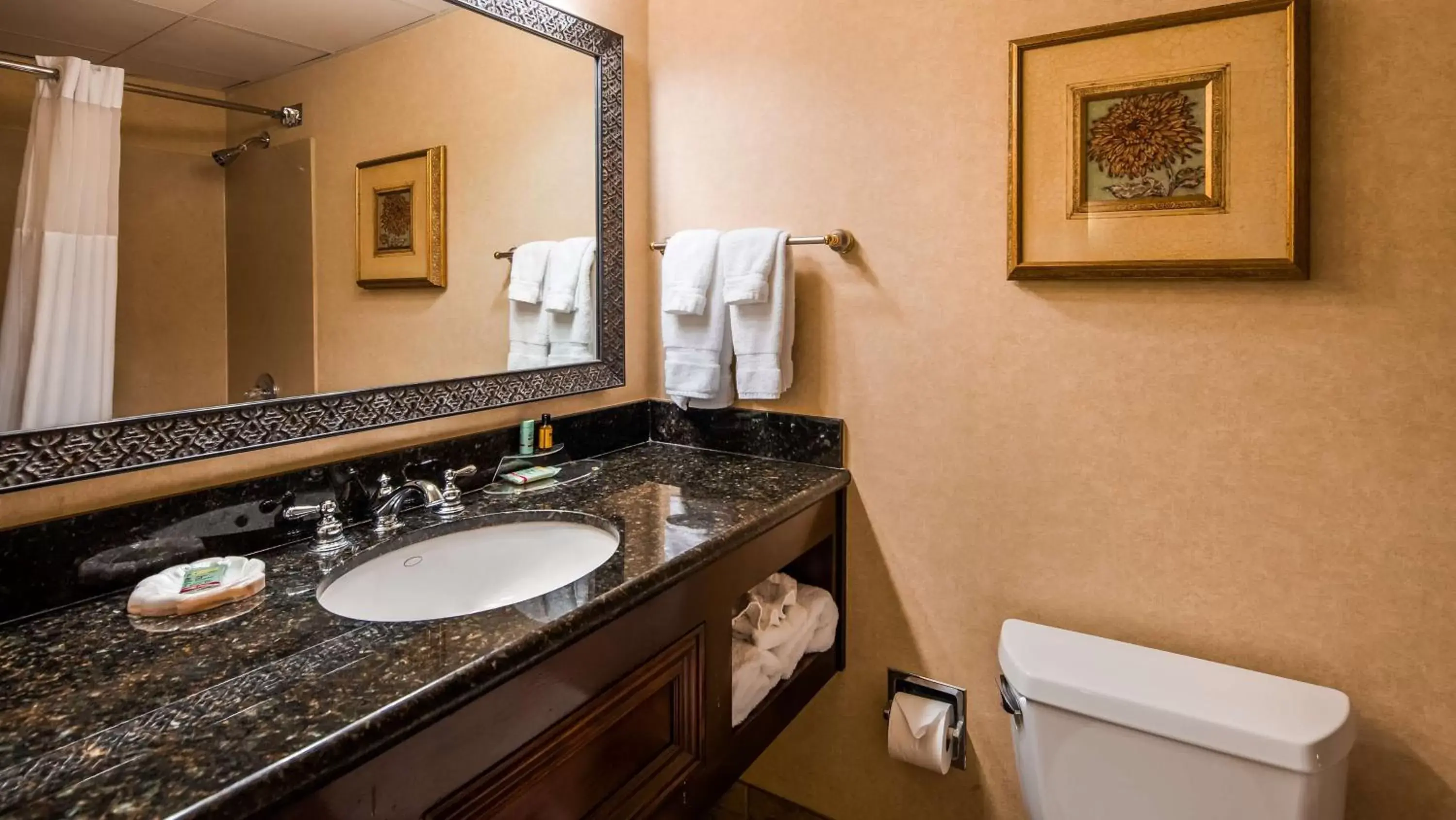 Bathroom in Best Western Plus Burlington