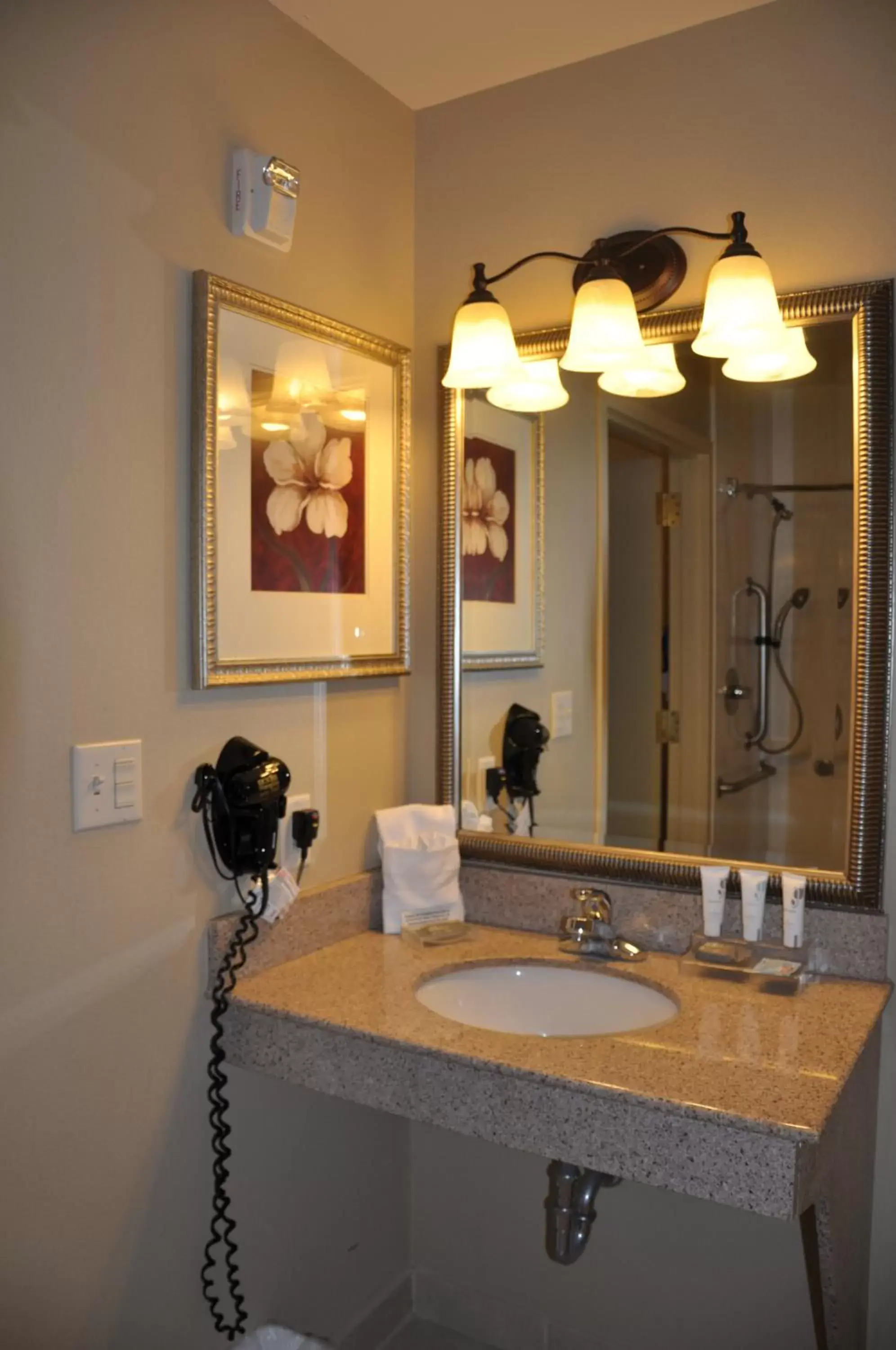 Bathroom in Country Inn & Suites by Radisson, Covington, LA