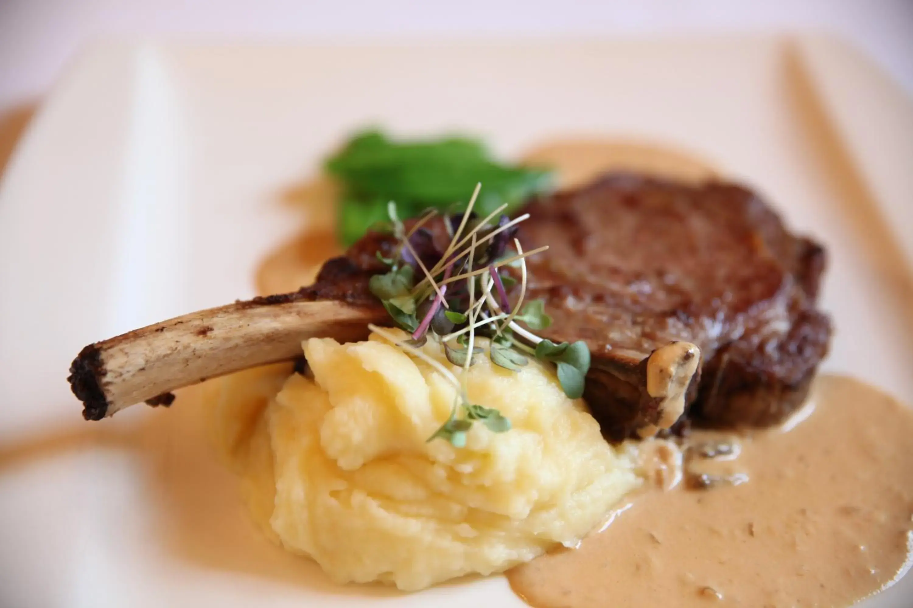 Restaurant/places to eat in Hotel Pod Věží Restaurant/places to eat in Hotel Pod Věží