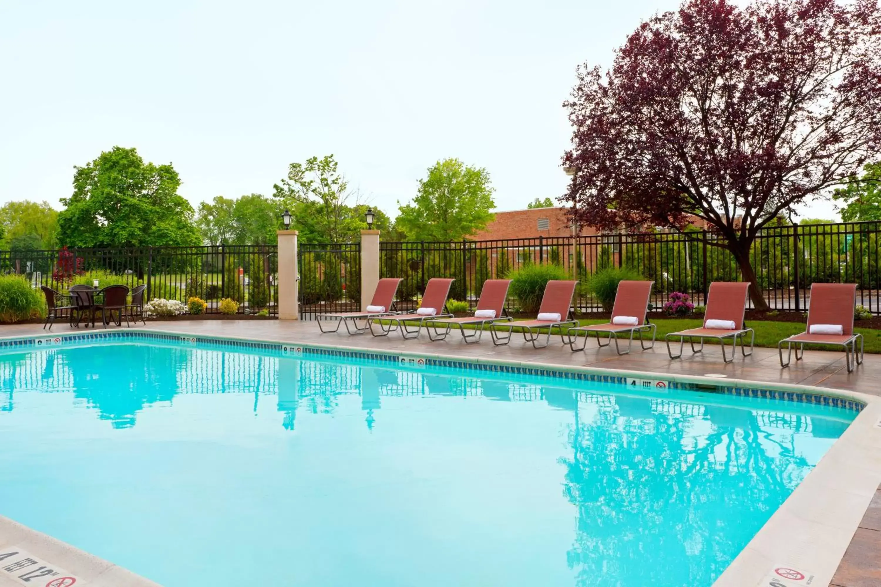 Swimming Pool in Holiday Inn Clark - Newark, an IHG Hotel