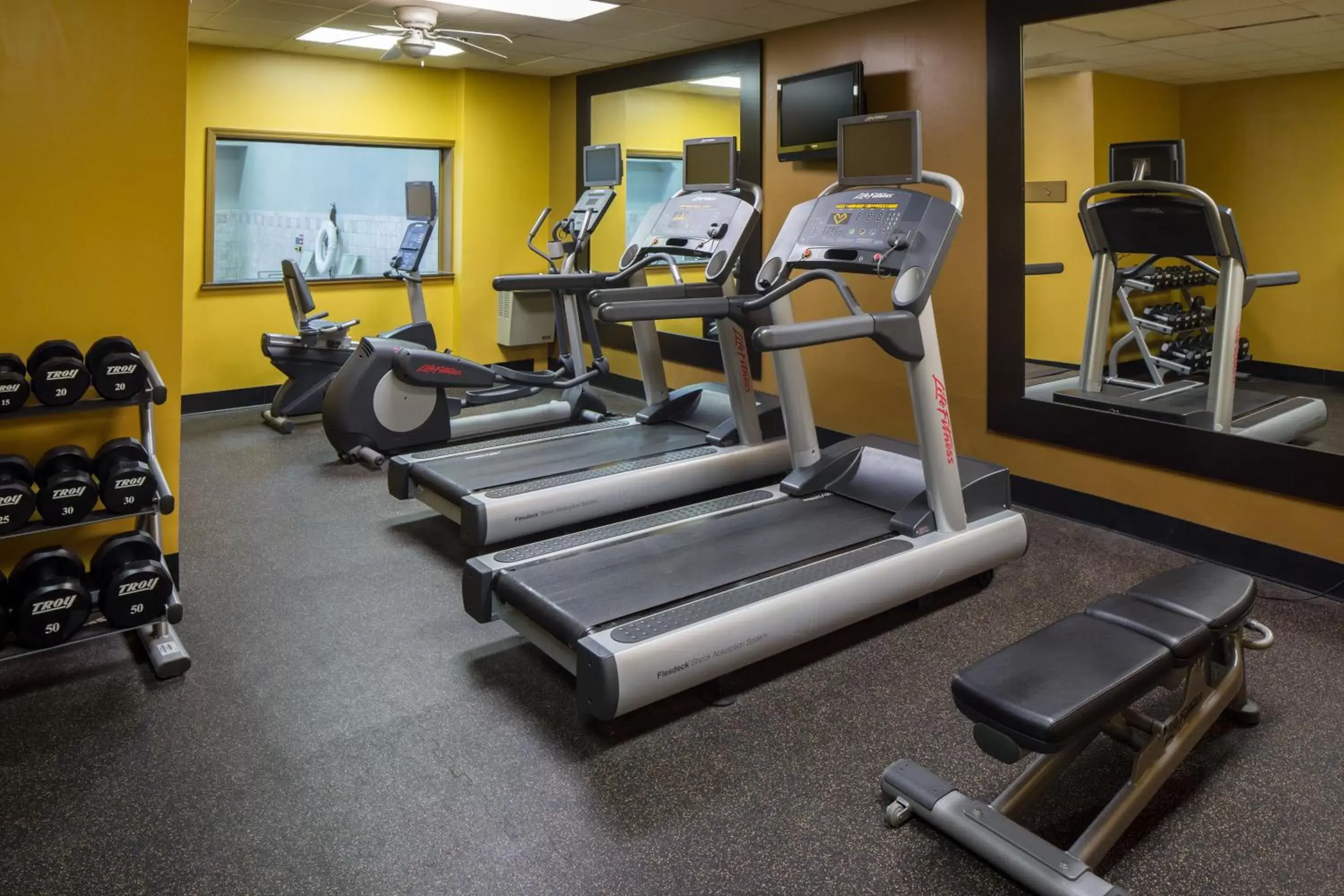 Fitness centre/facilities, Fitness Center/Facilities in Holiday Inn Dubuque/Galena, an IHG Hotel