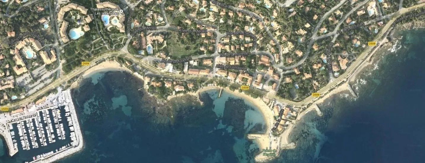 Other, Bird's-eye View in Chez Louis